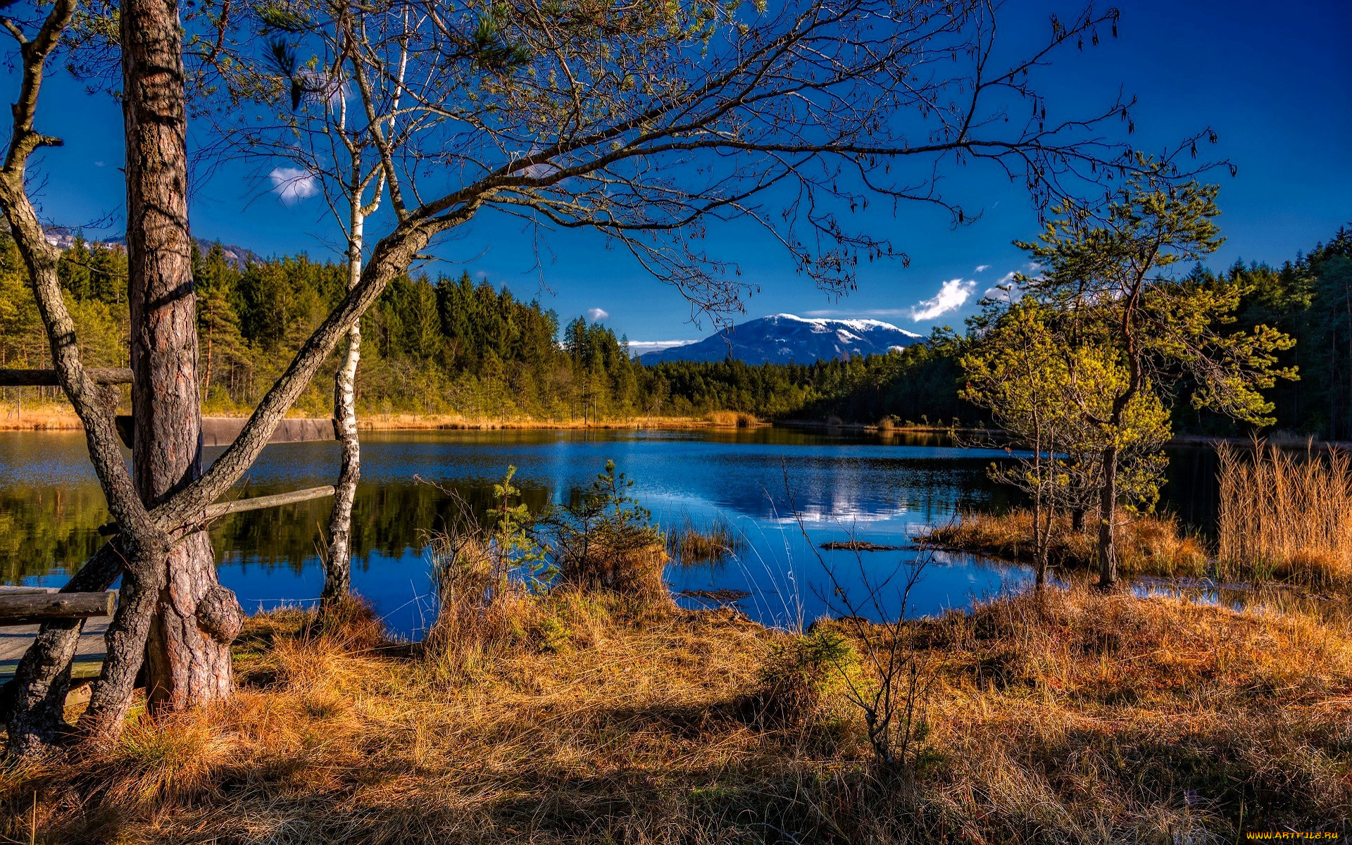 природа, реки, озера, лес, гора, деревья, озеро, трава