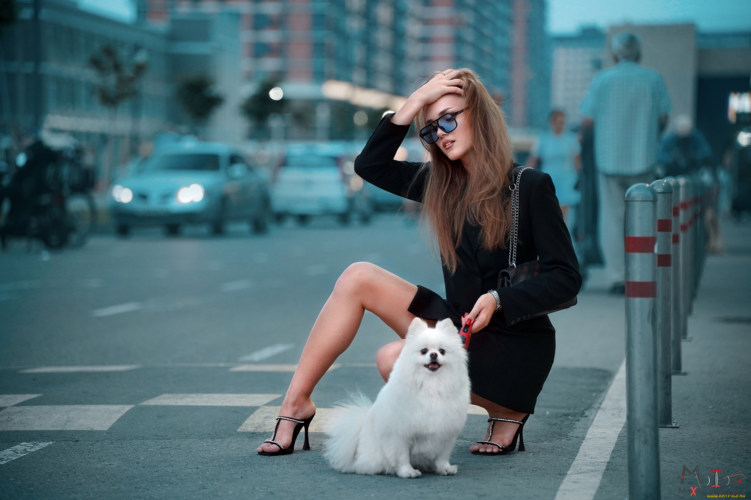 дама, с, собачкой, девушки, -, брюнетки, , шатенки, девушка, женщина, шатенка, темноволосая, сексуальная, модель, звезда, позирует, разная, обувь, верхняя, стильная, одежда, нижнее, эротическое, бельё, трусы, лифчик, колготки, чулки, аксессуары, макияж, и, множество, элементов, на, фотографии