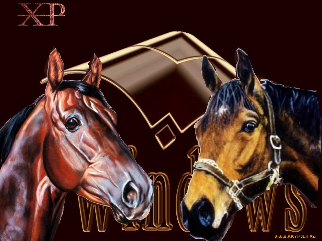 duet, компьютеры, windows, xp