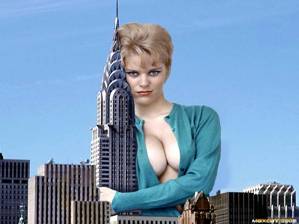 юмор, приколы