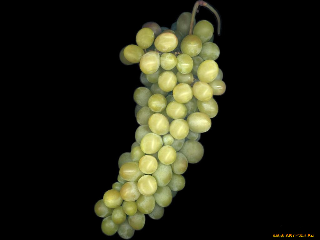 еда, виноград