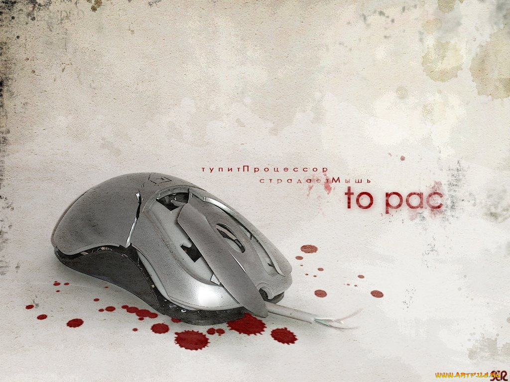 юмор, приколы