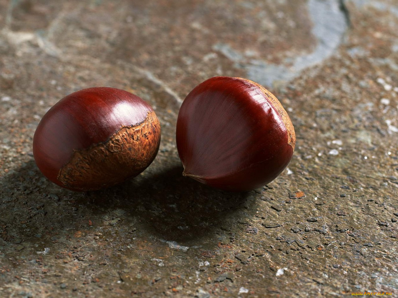 еда, орехи, каштаны