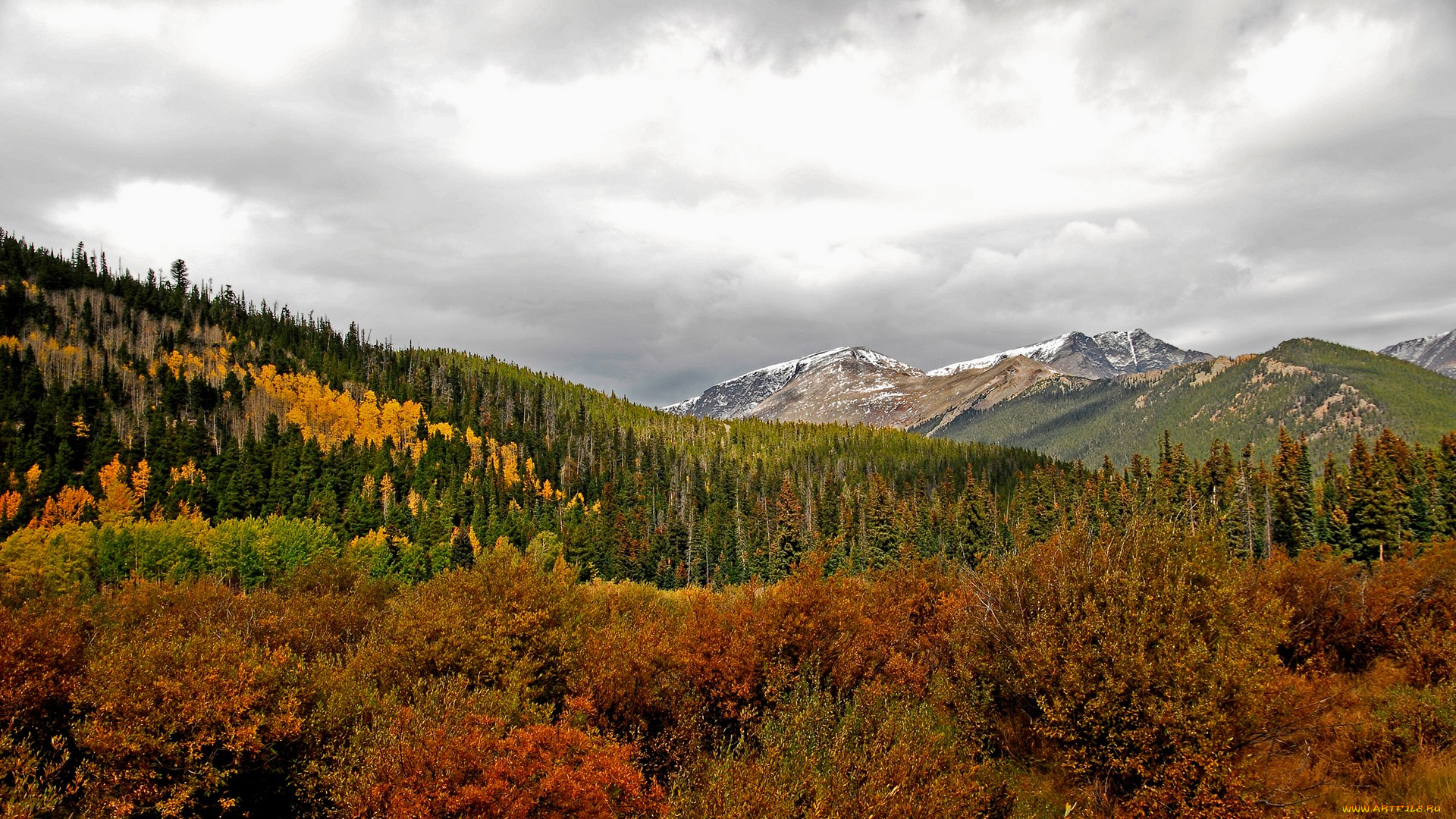 осень, природа