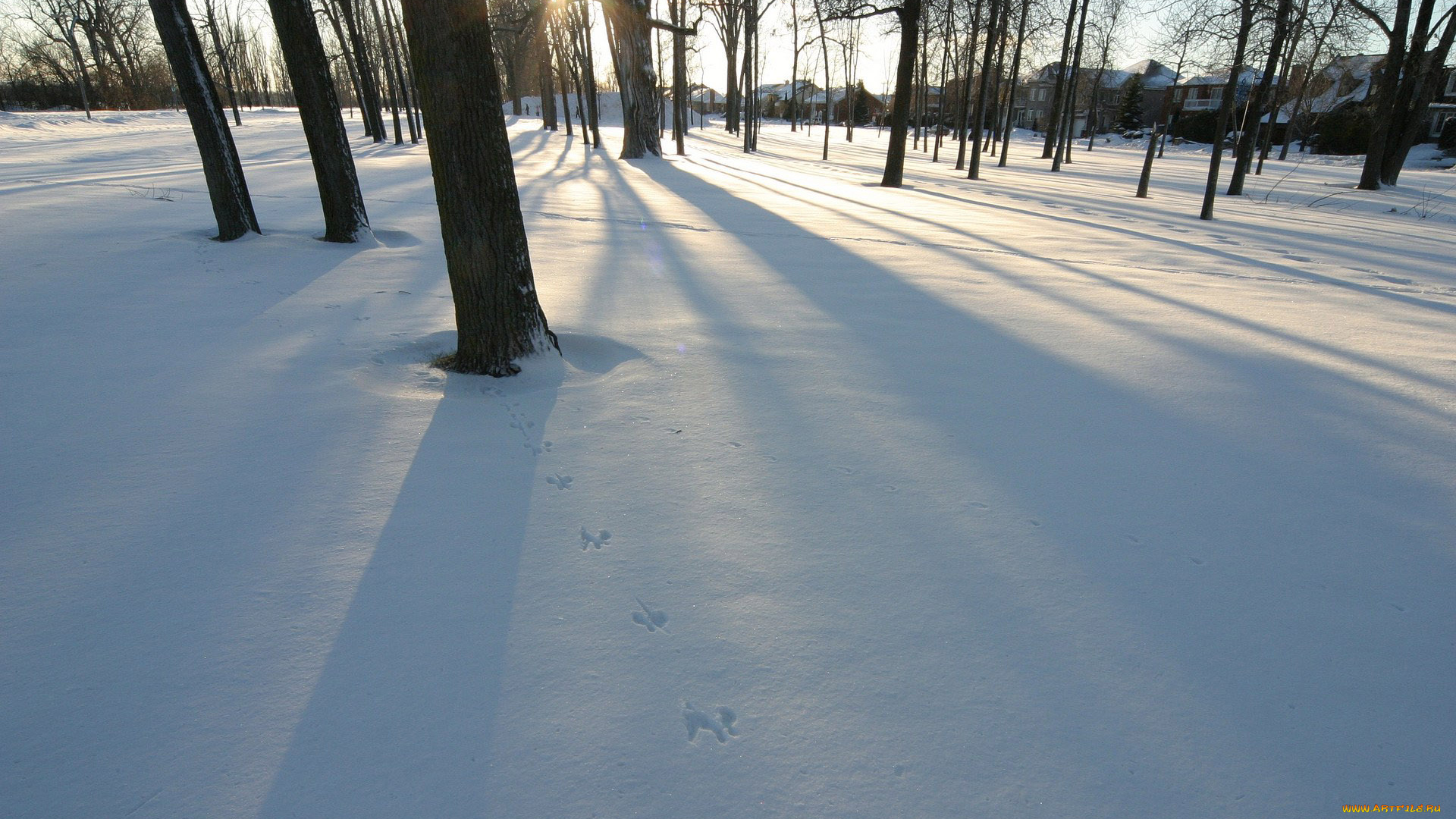 зима, природа