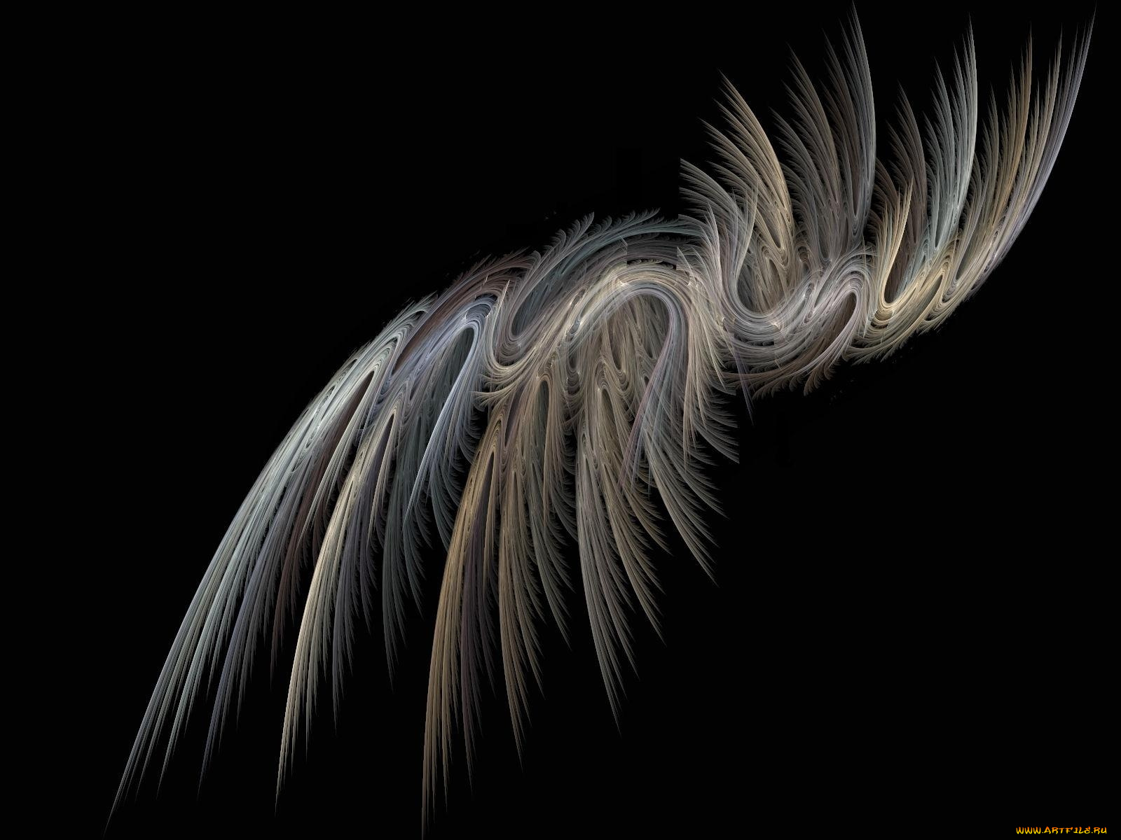 3д, графика, fractal, фракталы, австракция