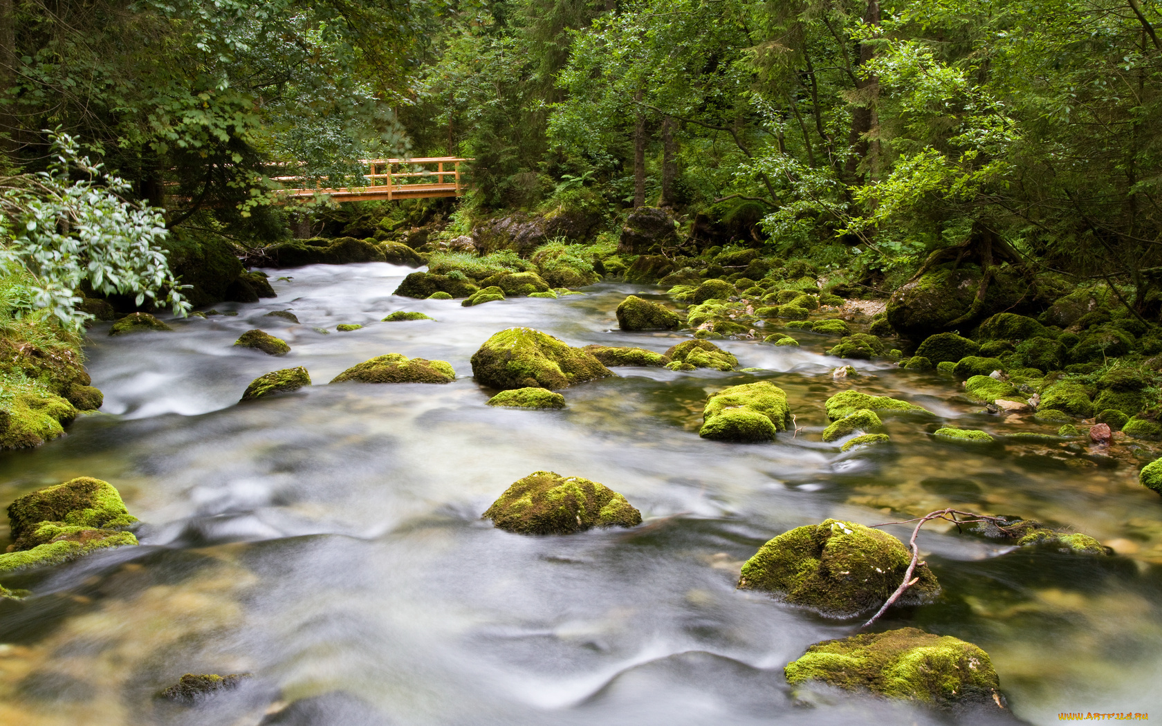 природа, реки, озера, лес, река, камни