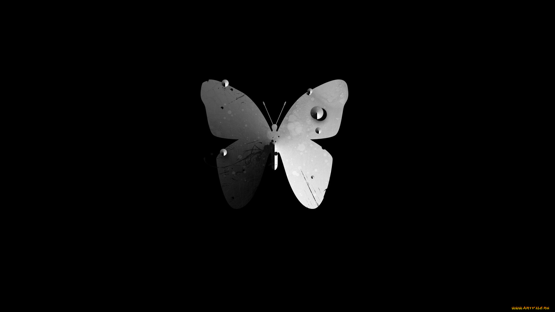 3д, графика, animals, животные, тёмный, бабочка, фон