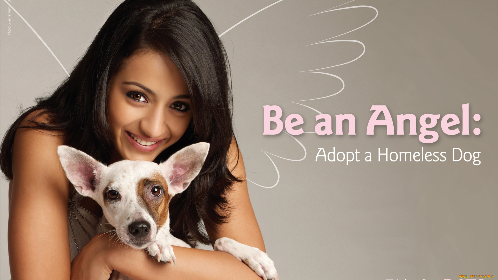 бренды, peta, people, for, the, ethical, treatment, of, animals, индианка, собака