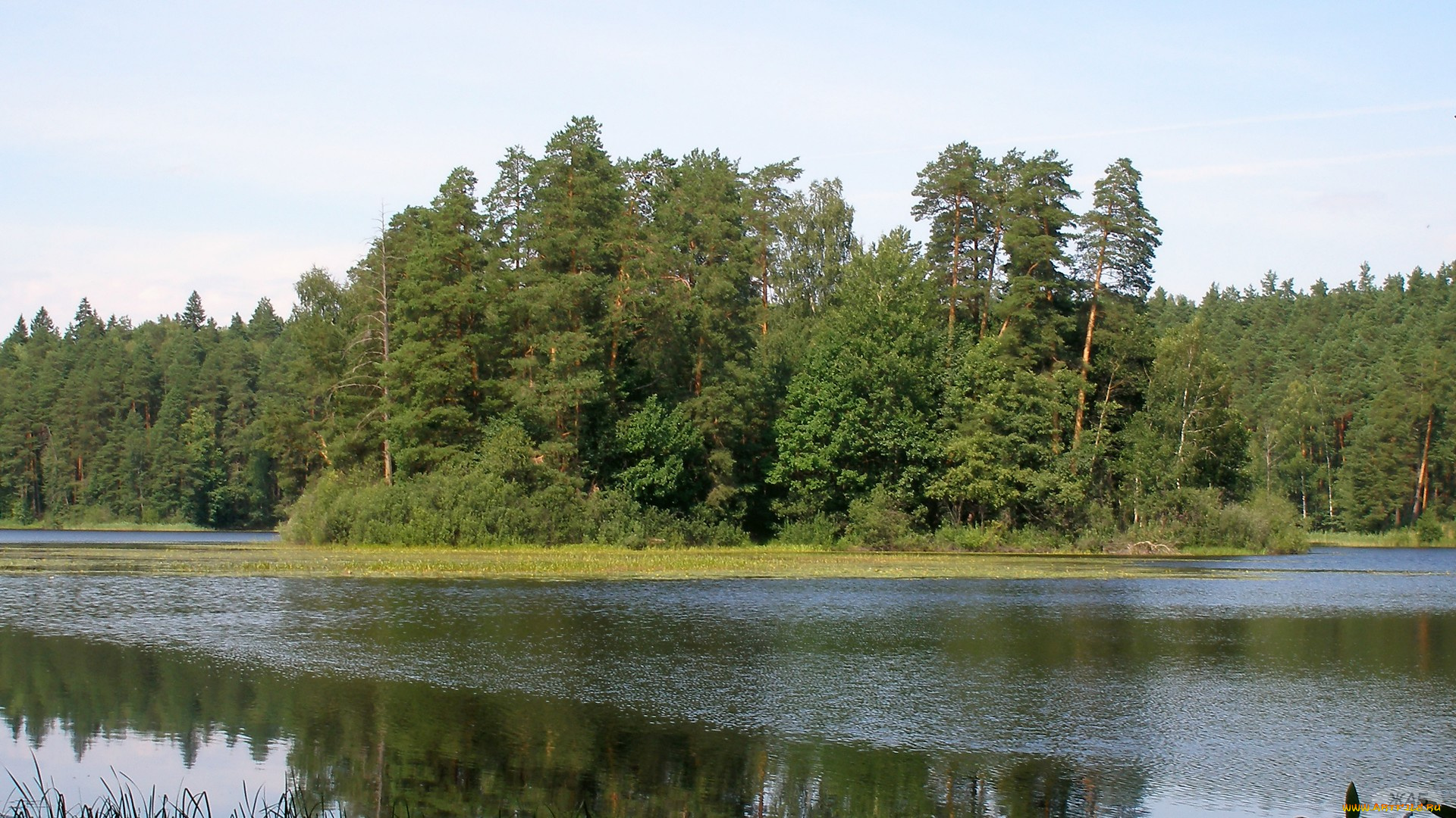 Чарское, озеро, природа, реки, озера, остров, лес, вода