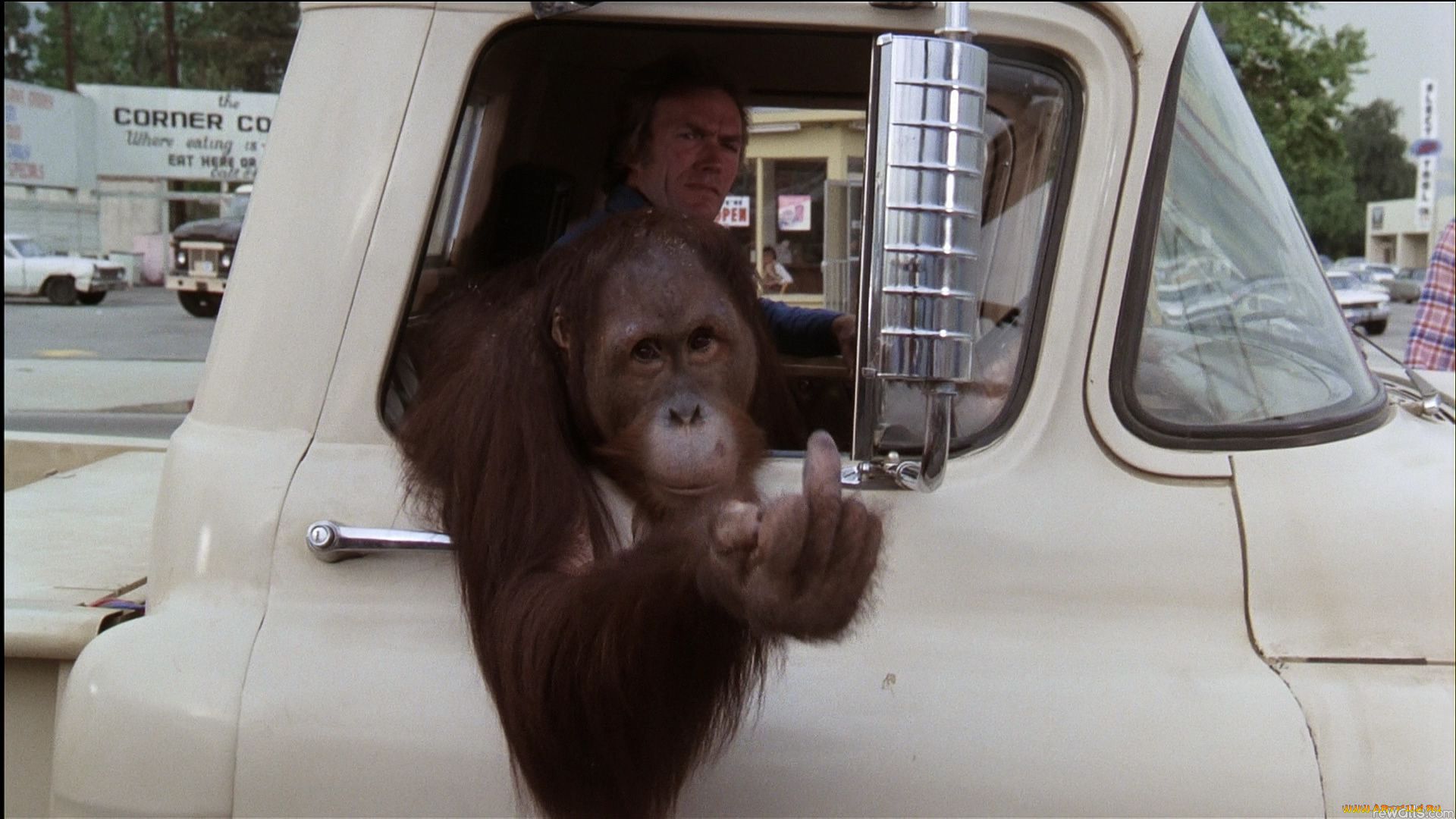 кино, фильмы, every, which, way, but, loose