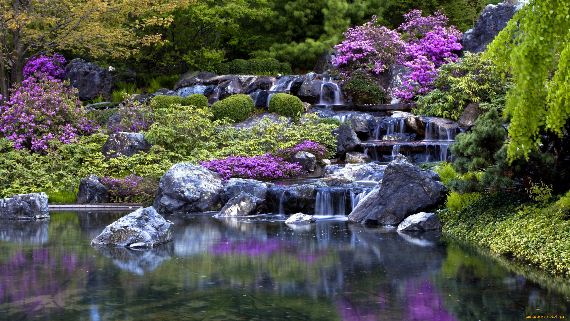 монреальский, ботанический, сад, канада, природа, парк, водопад, деревья, цветы, камни