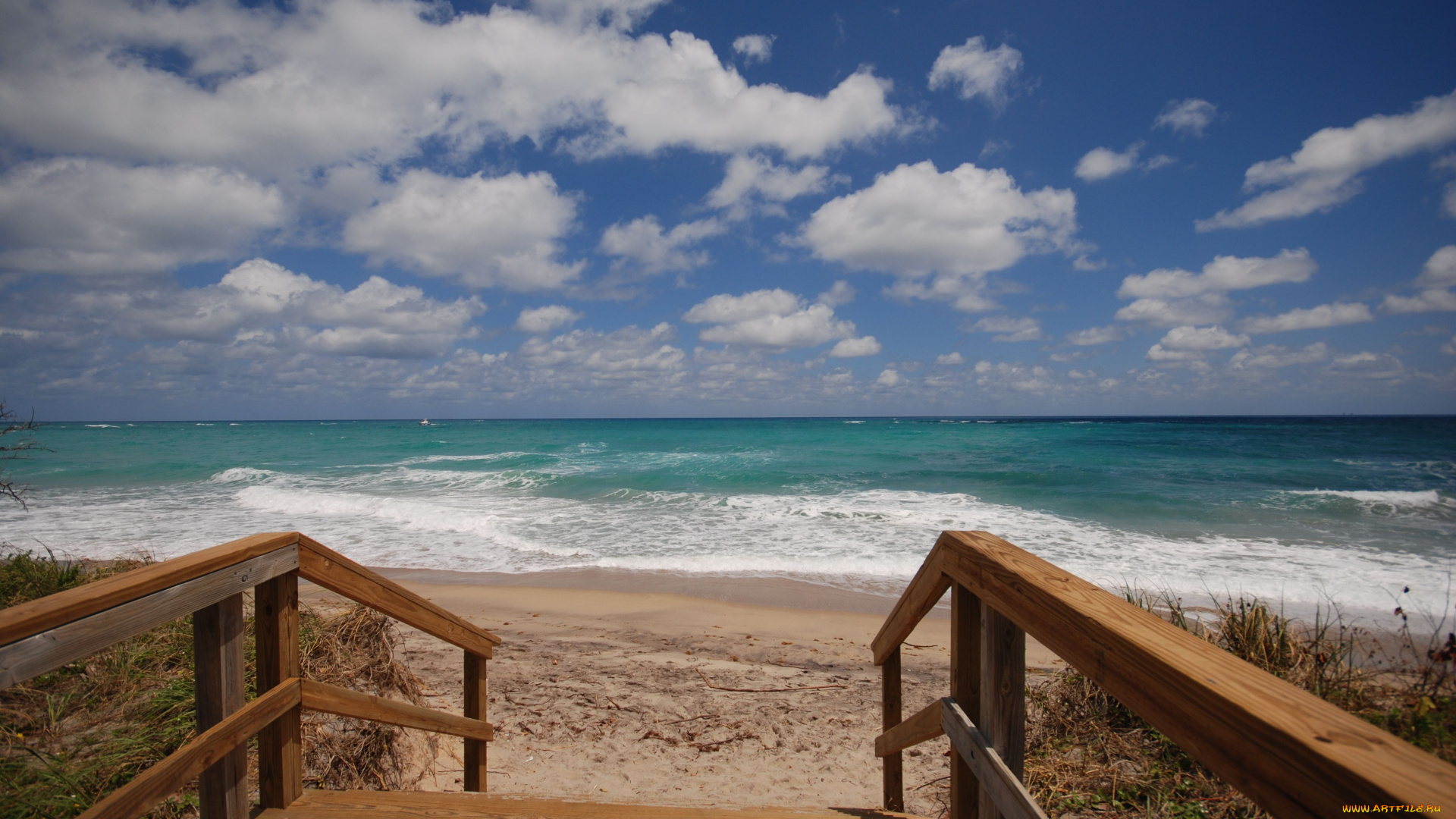 природа, побережье, берег, лестница