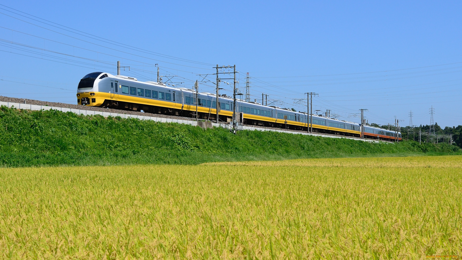 техника, поезда, поезд, поле