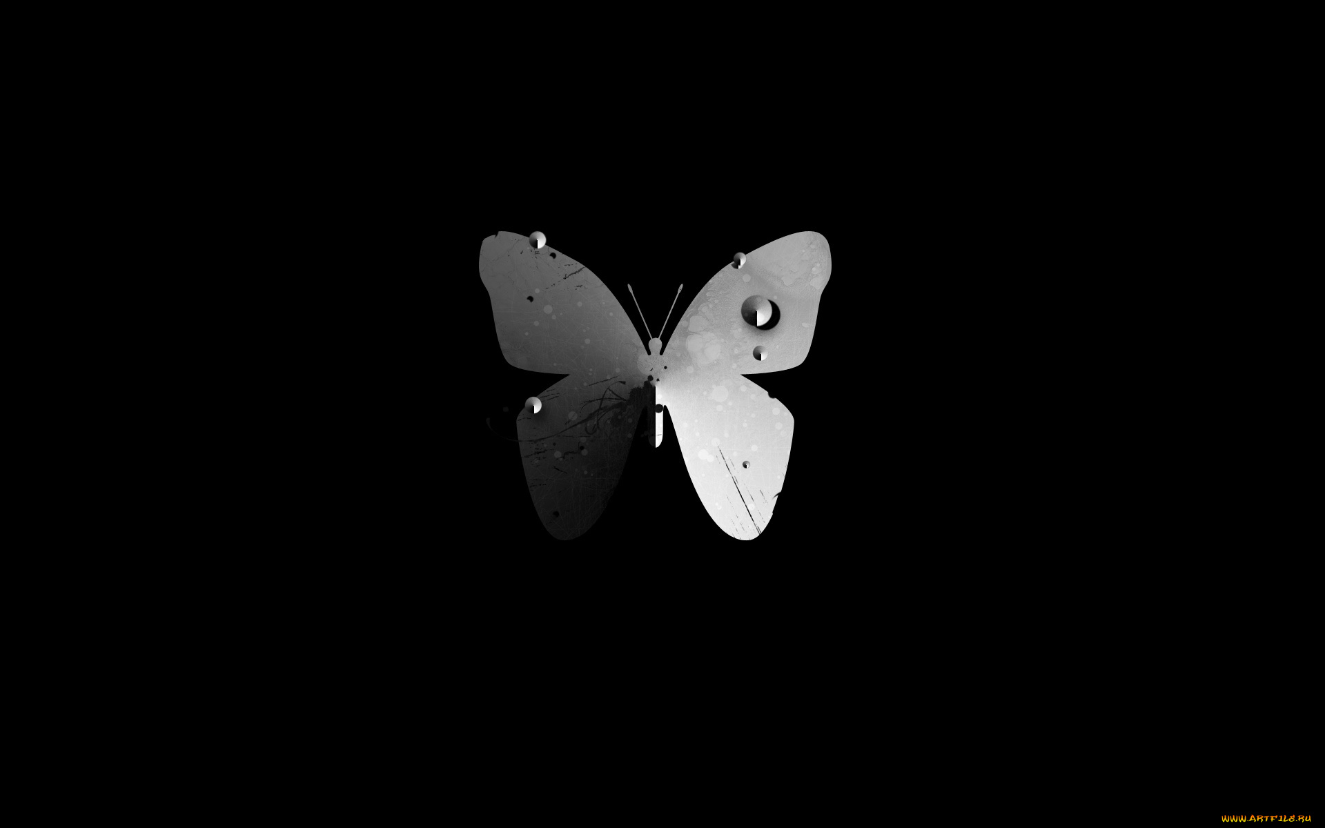 3д, графика, animals, животные, тёмный, бабочка, фон