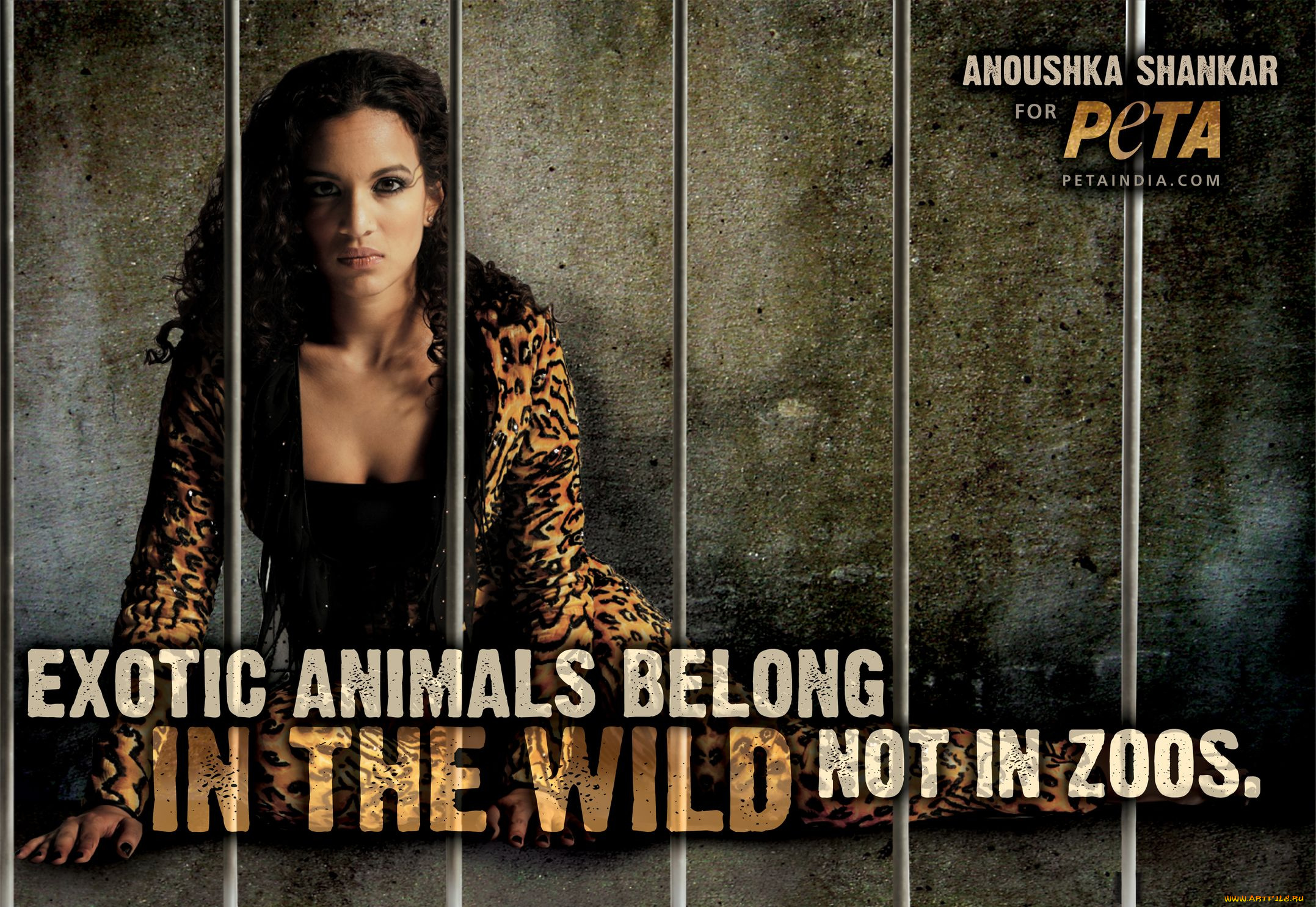 бренды, peta, people, for, the, ethical, treatment, of, animals, застенки