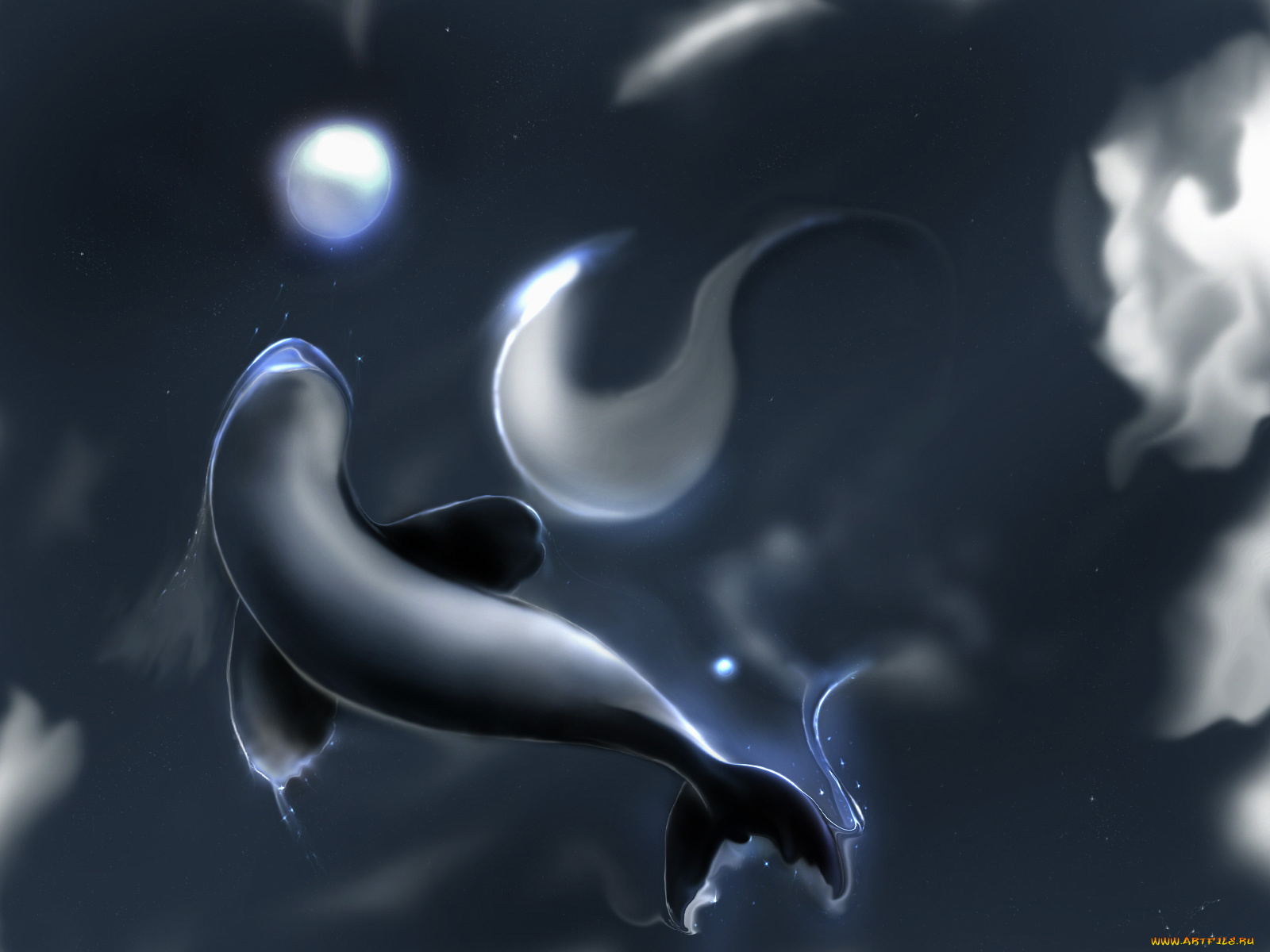 3д, графика, animals, животные, рыбка