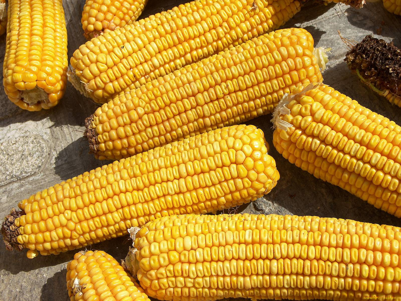 еда, кукуруза