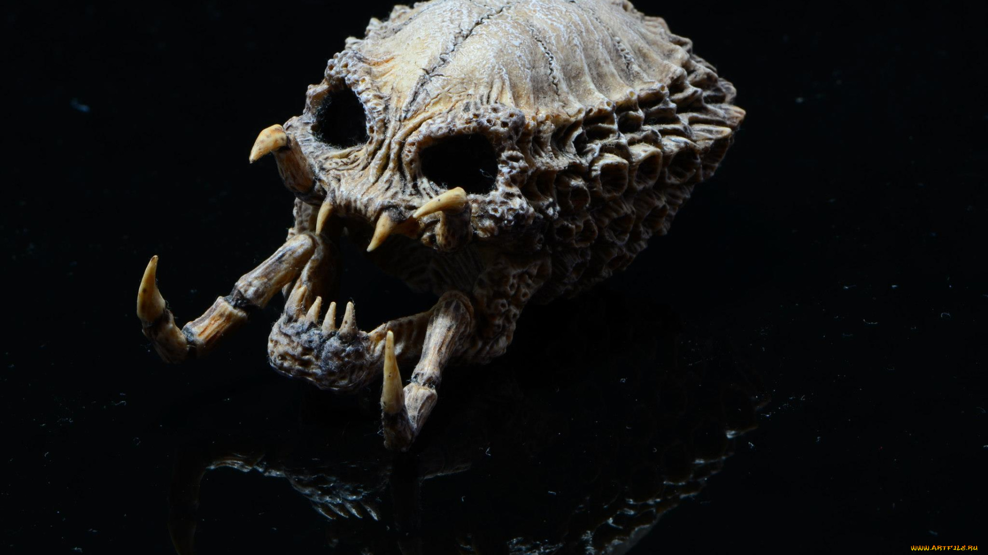 3д, графика, horror, ужас, череп