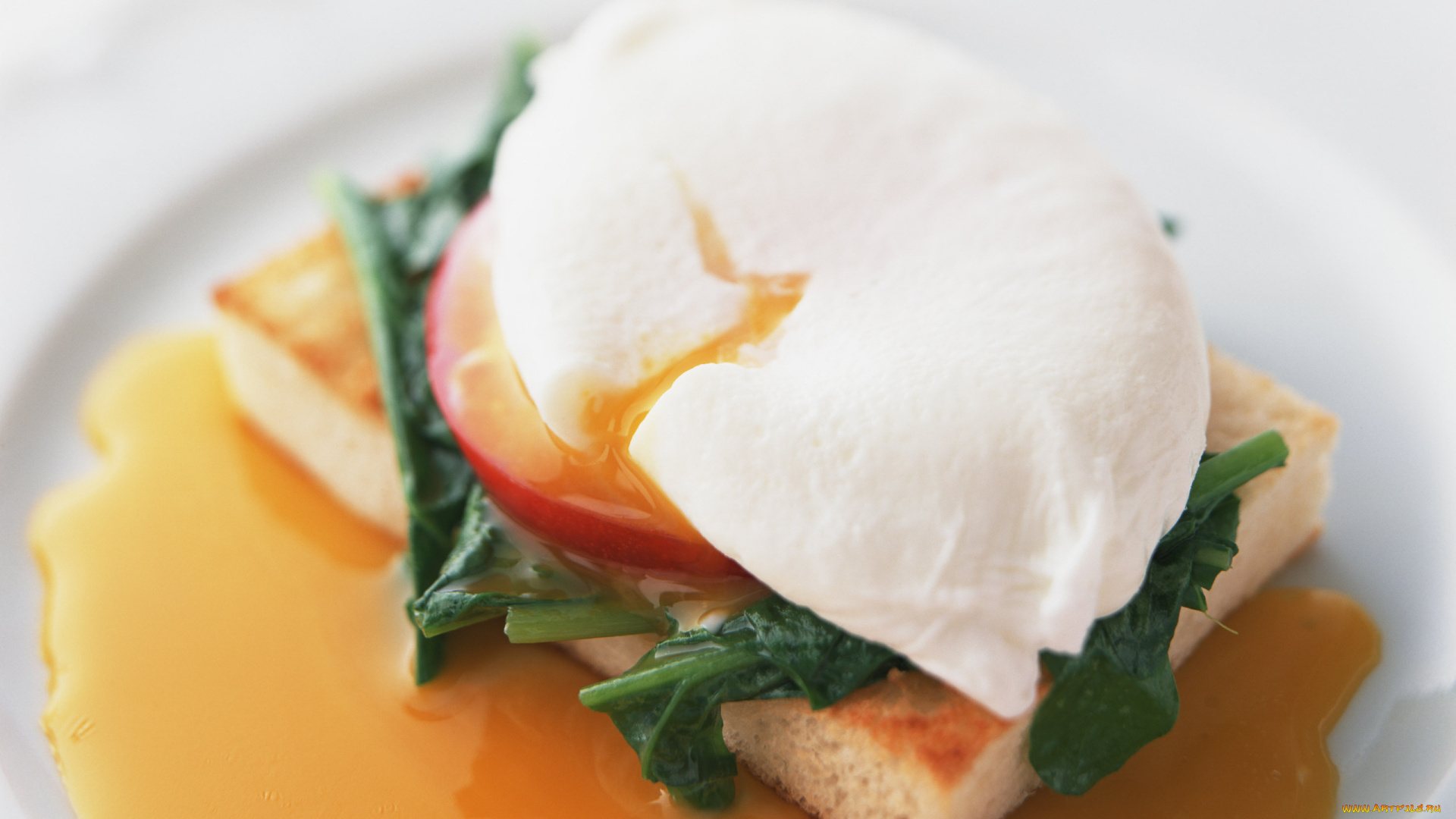 еда, бутерброды, гамбургеры, канапе, соус, яйцо, зелень, тост