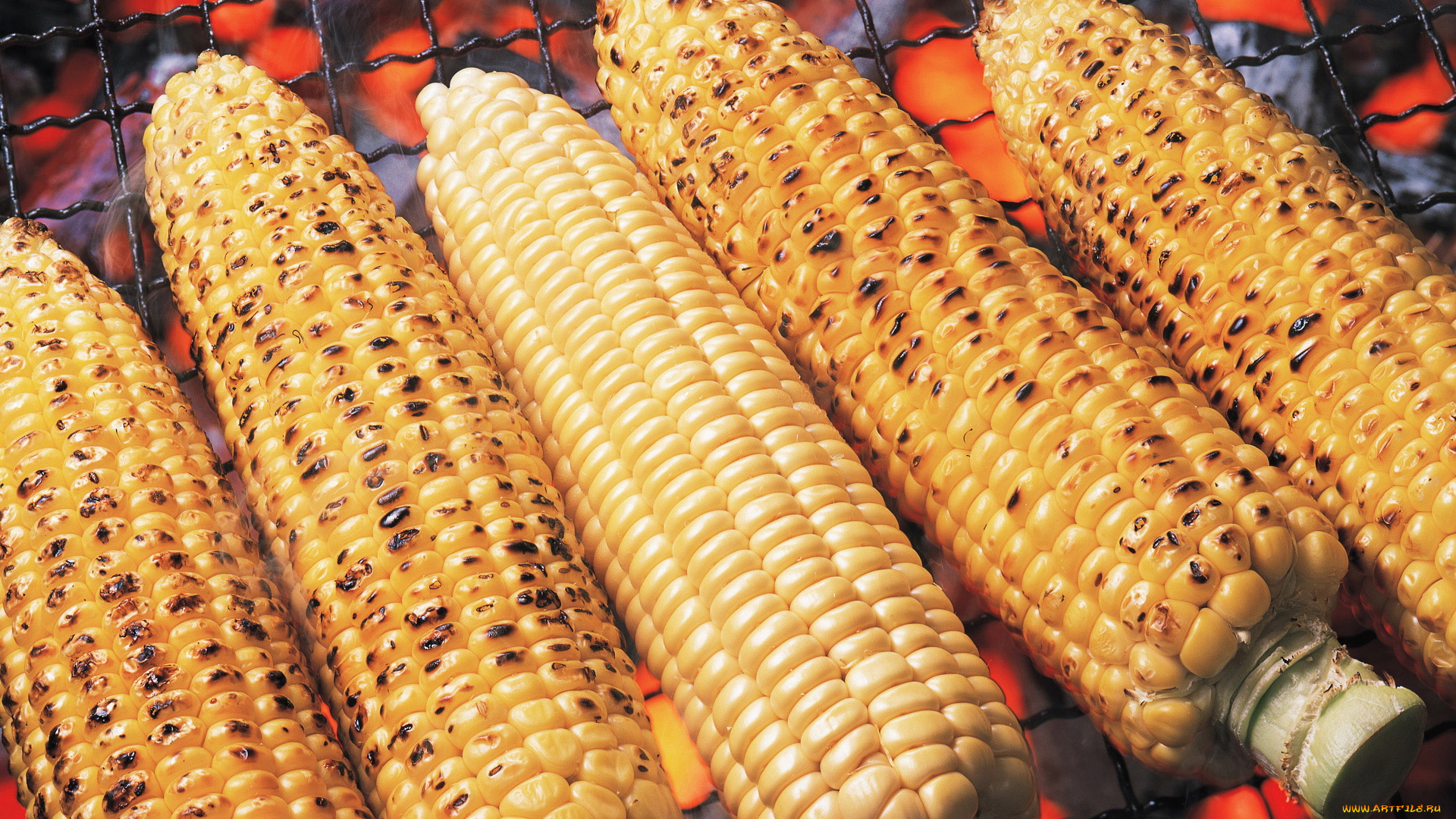 еда, кукуруза