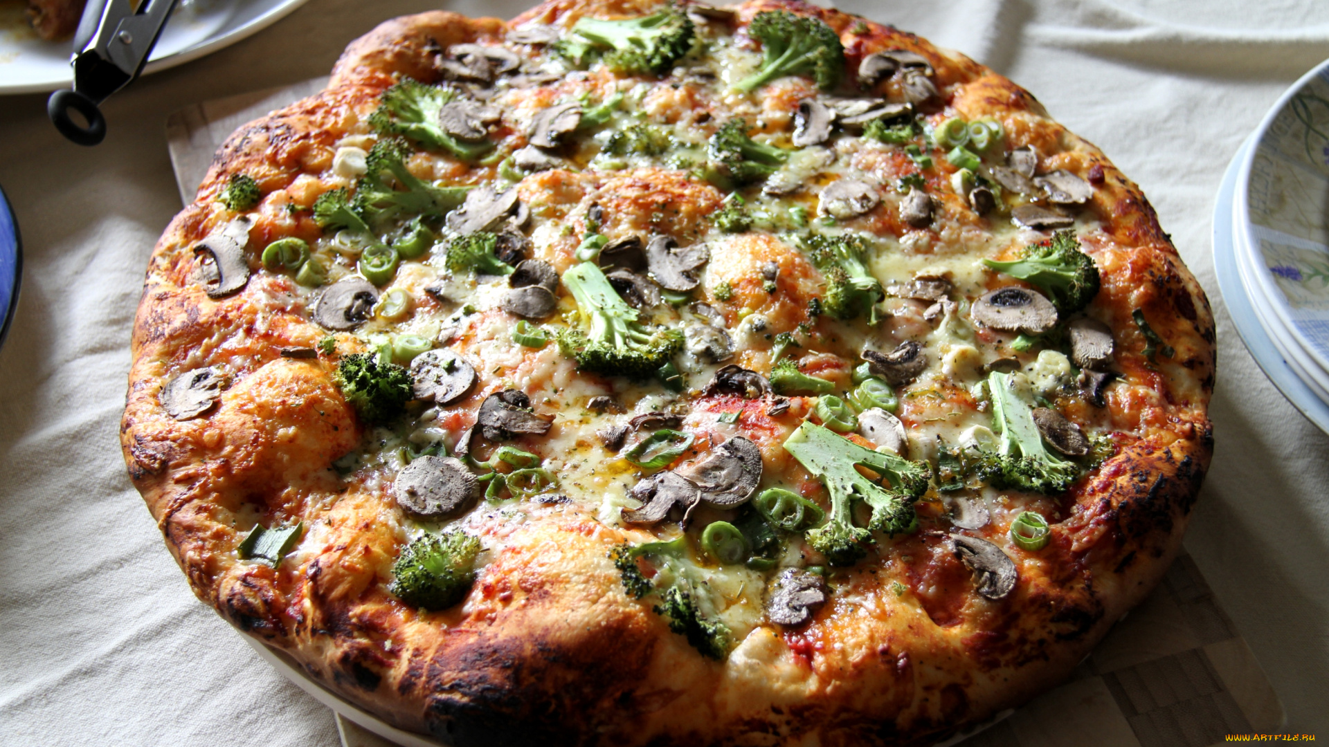 еда, пицца, лепешка, брокколи, грибы