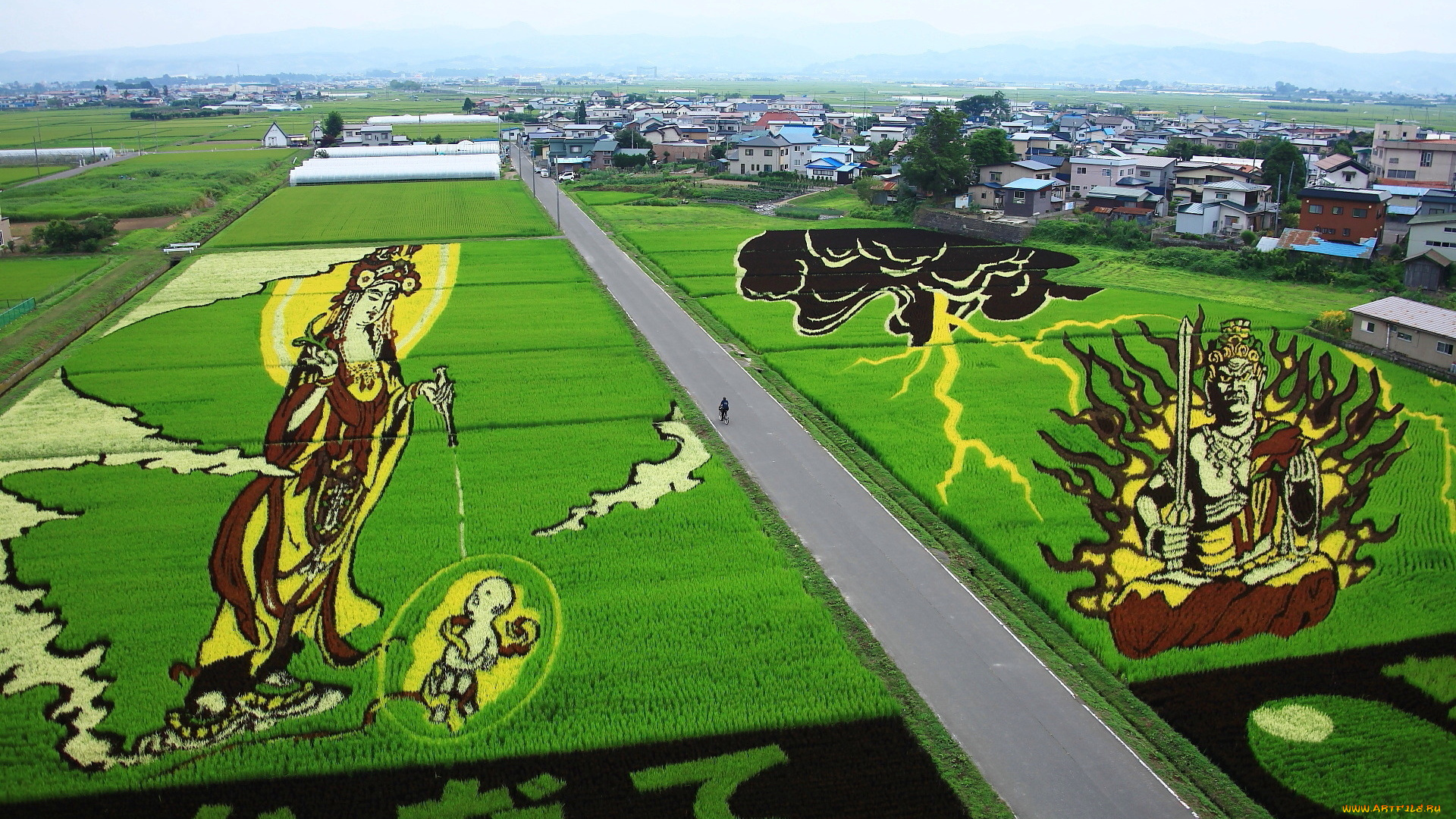 природа, дороги, дорога, поле