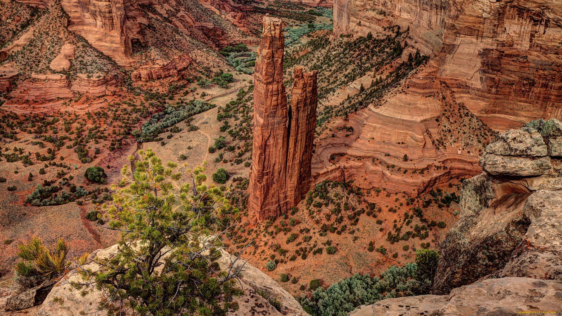природа, горы, скалы, кусты, каньон, сша