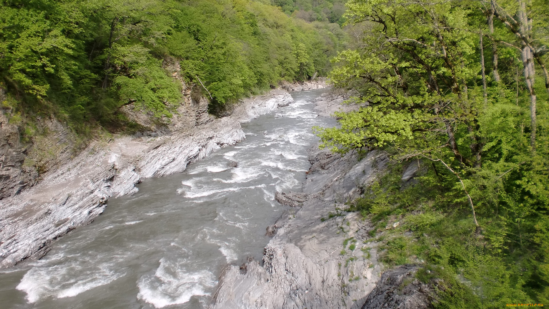 природа, реки, озера, река