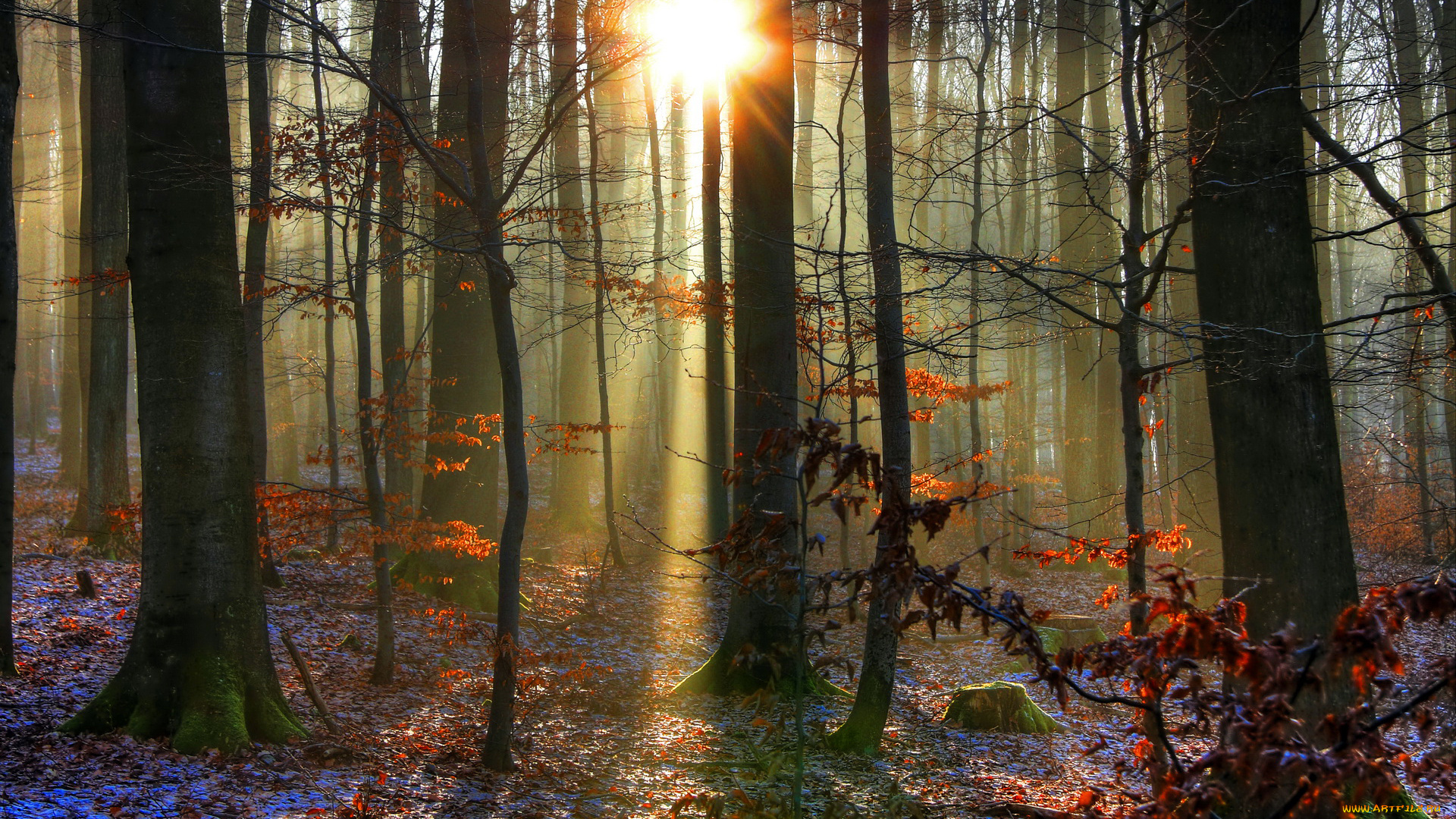 природа, восходы, закаты