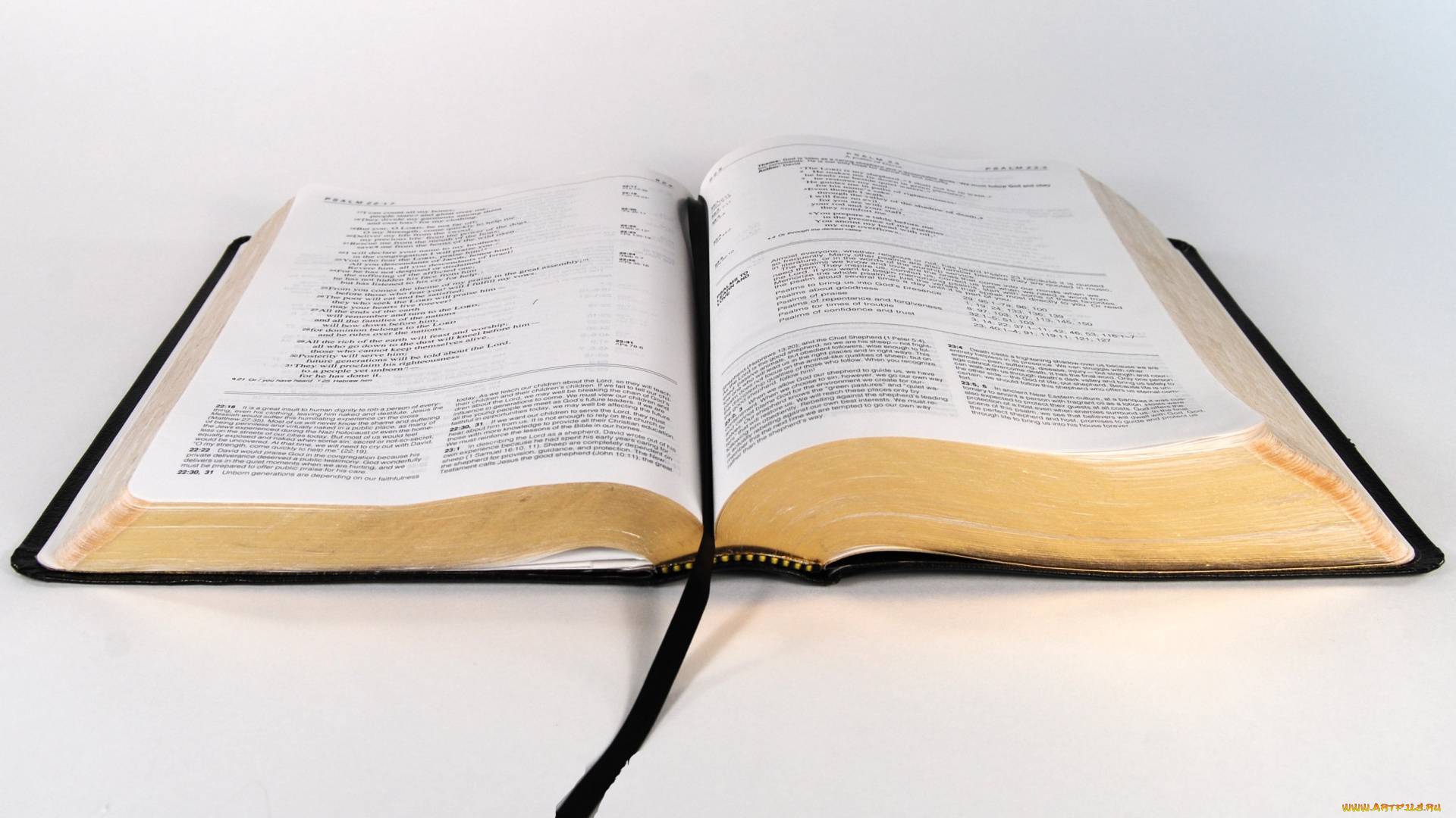 разное, канцелярия, книги, книга