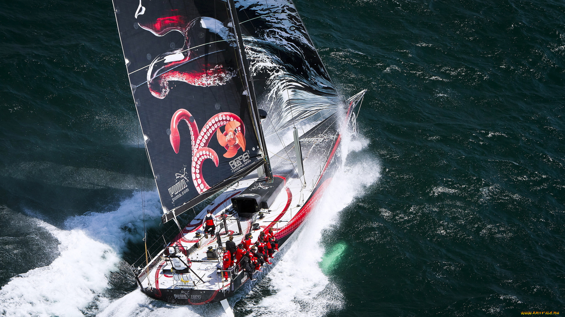 спорт, парусный, море, яхта