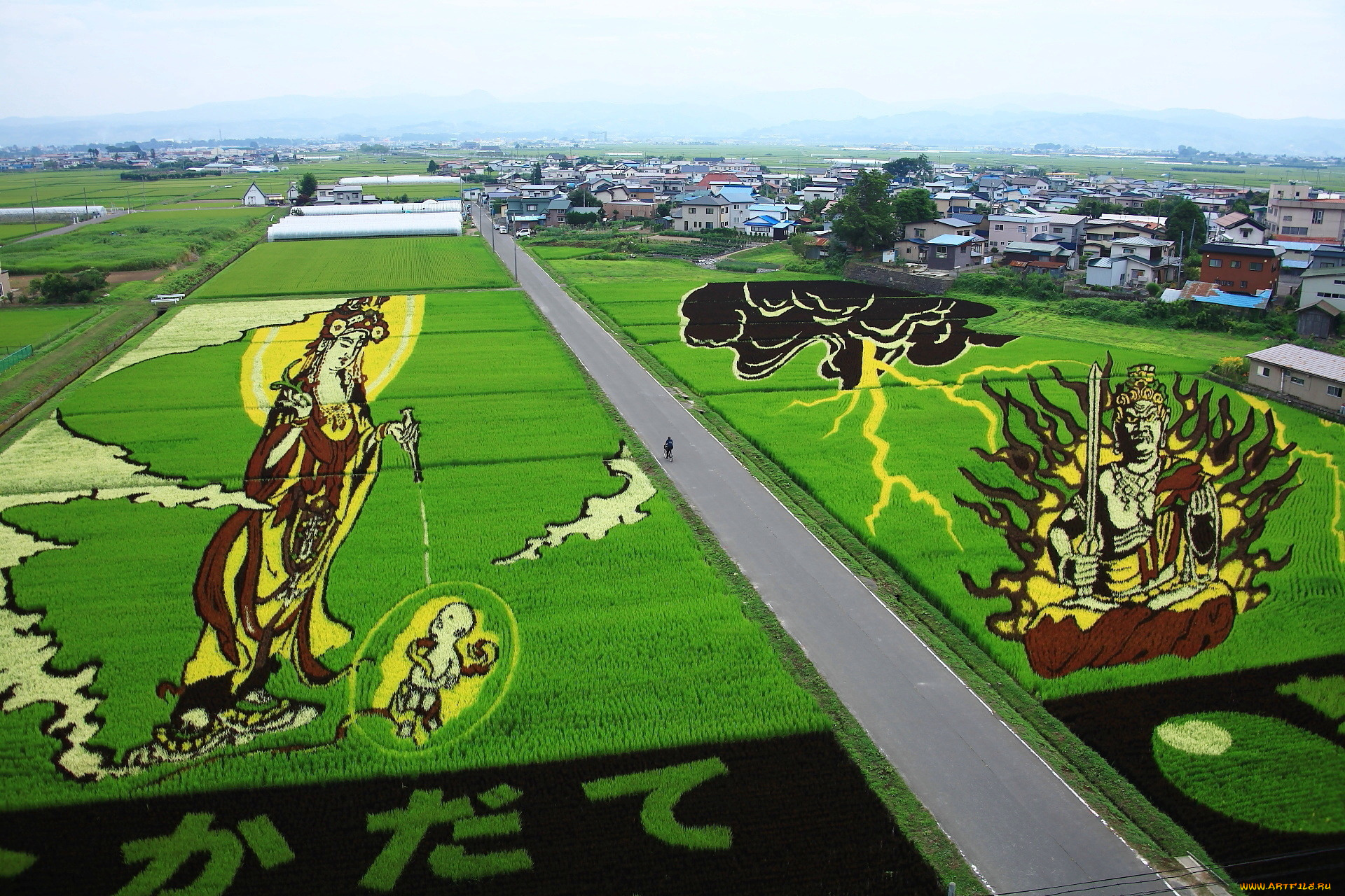 природа, дороги, дорога, поле