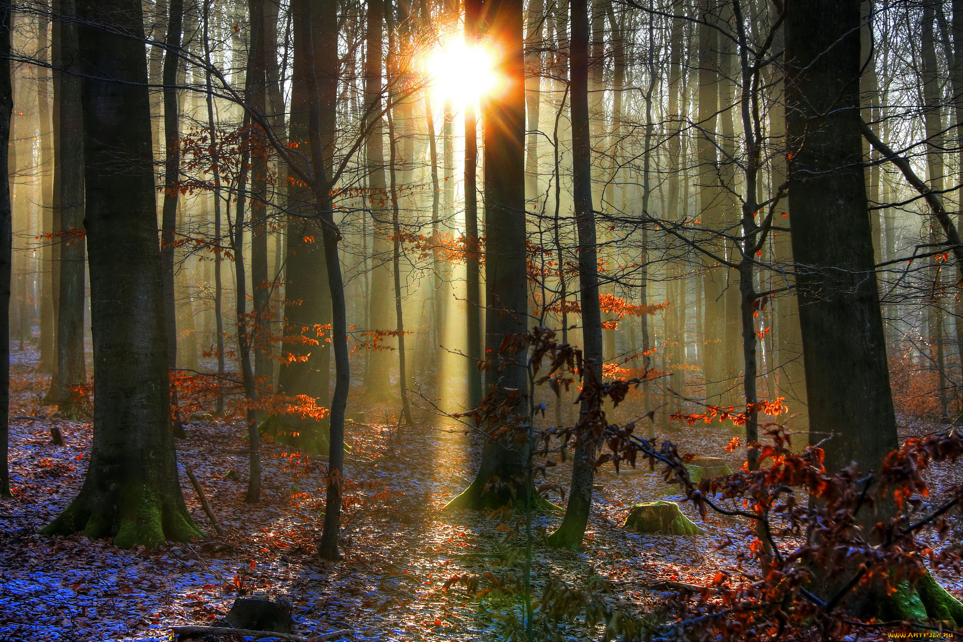 природа, восходы, закаты