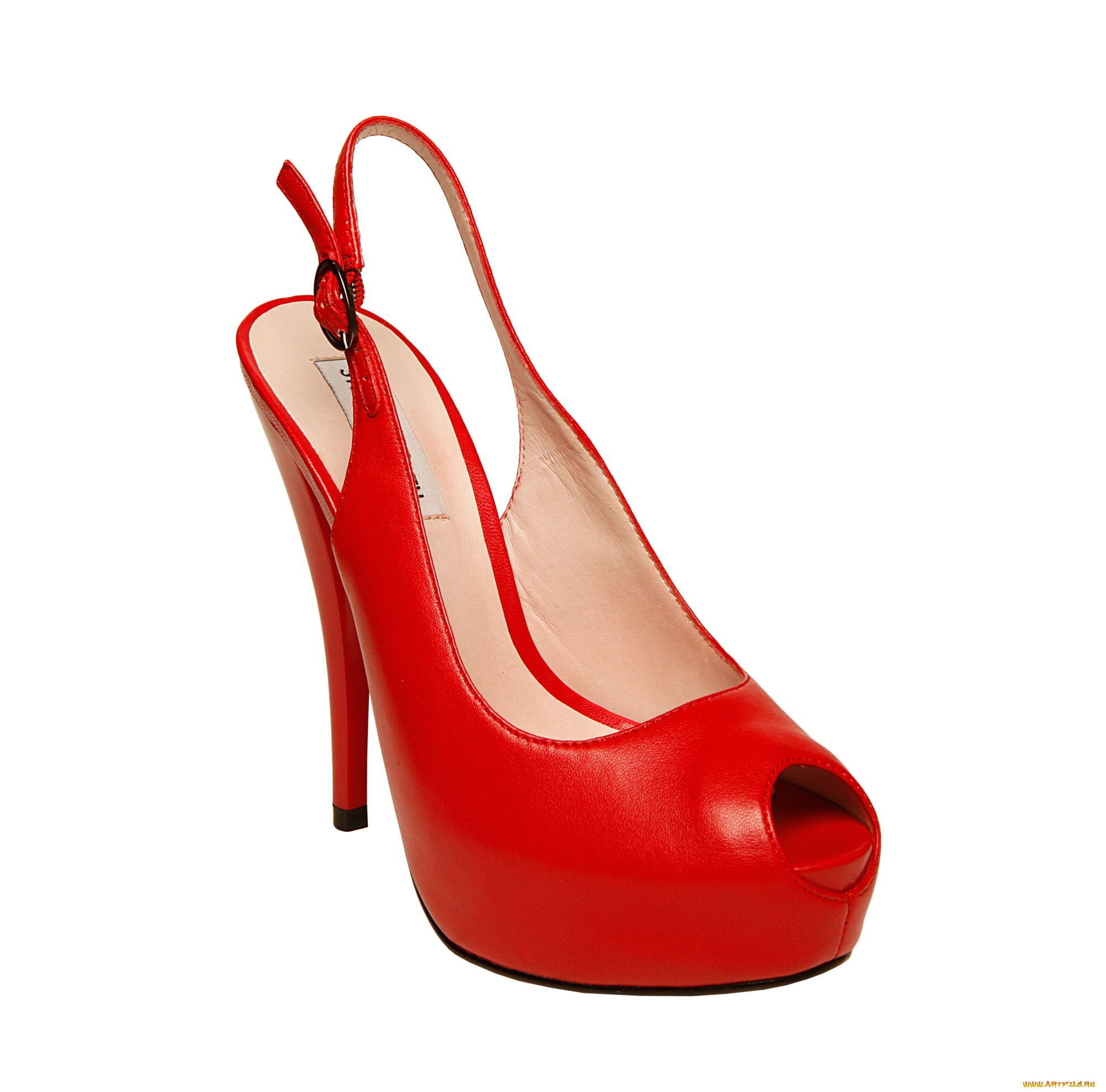 разное, одежда, обувь, текстиль, экипировка, туфелька