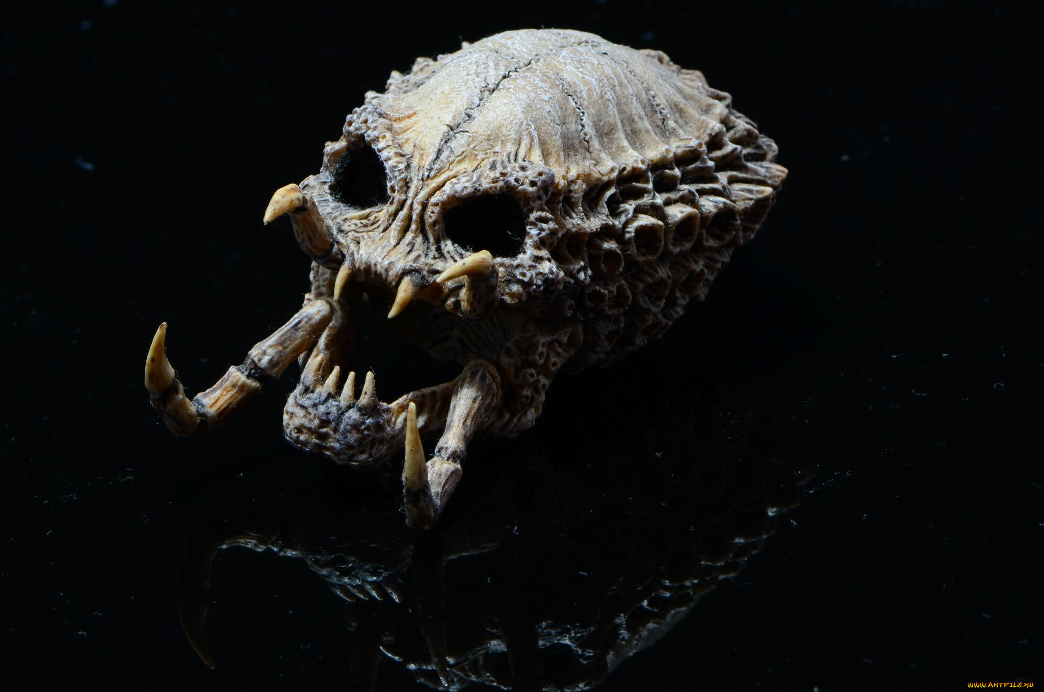 3д, графика, horror, ужас, череп