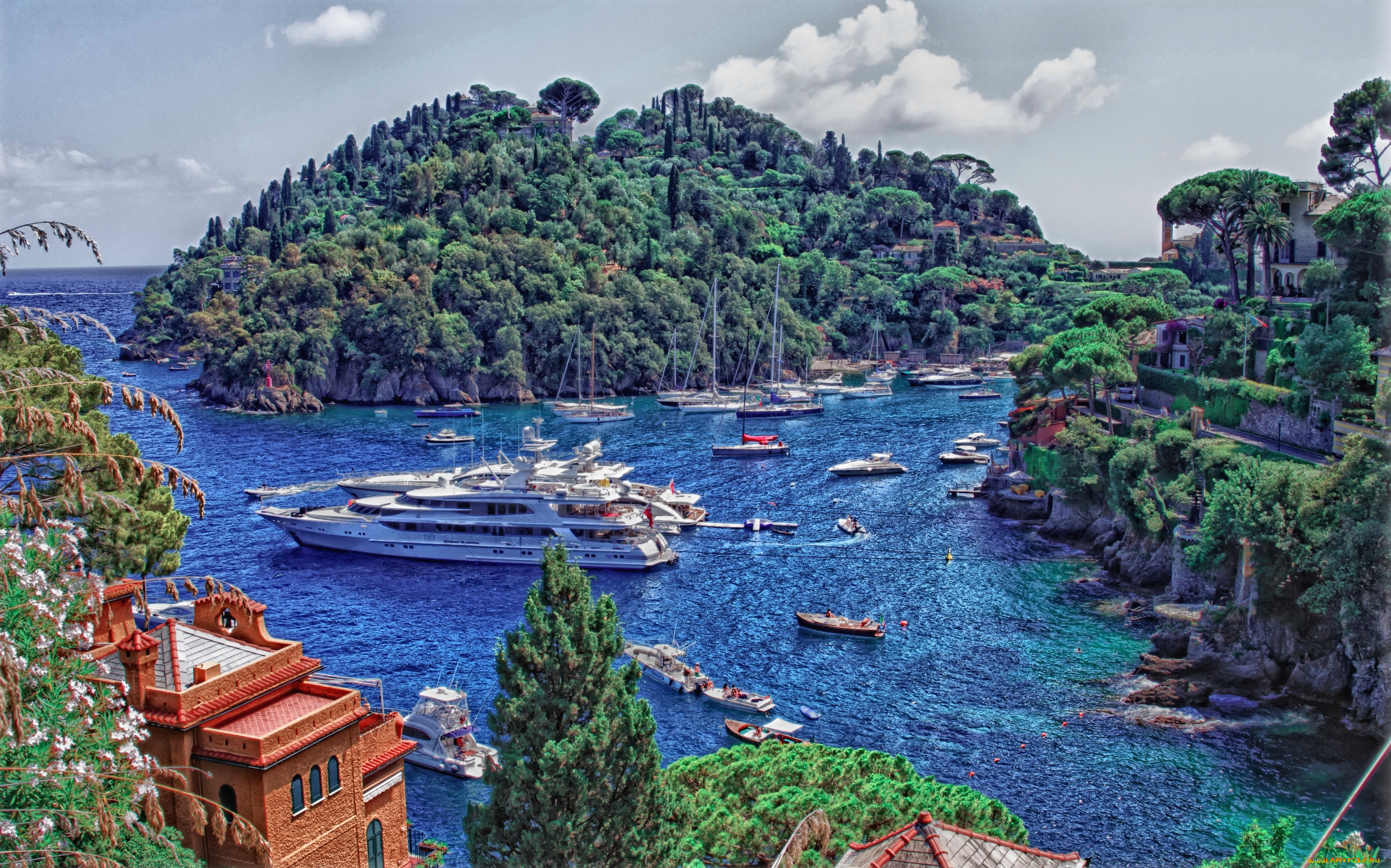 корабли, разные, вместе, яхты, море, бухта, лодки, катера