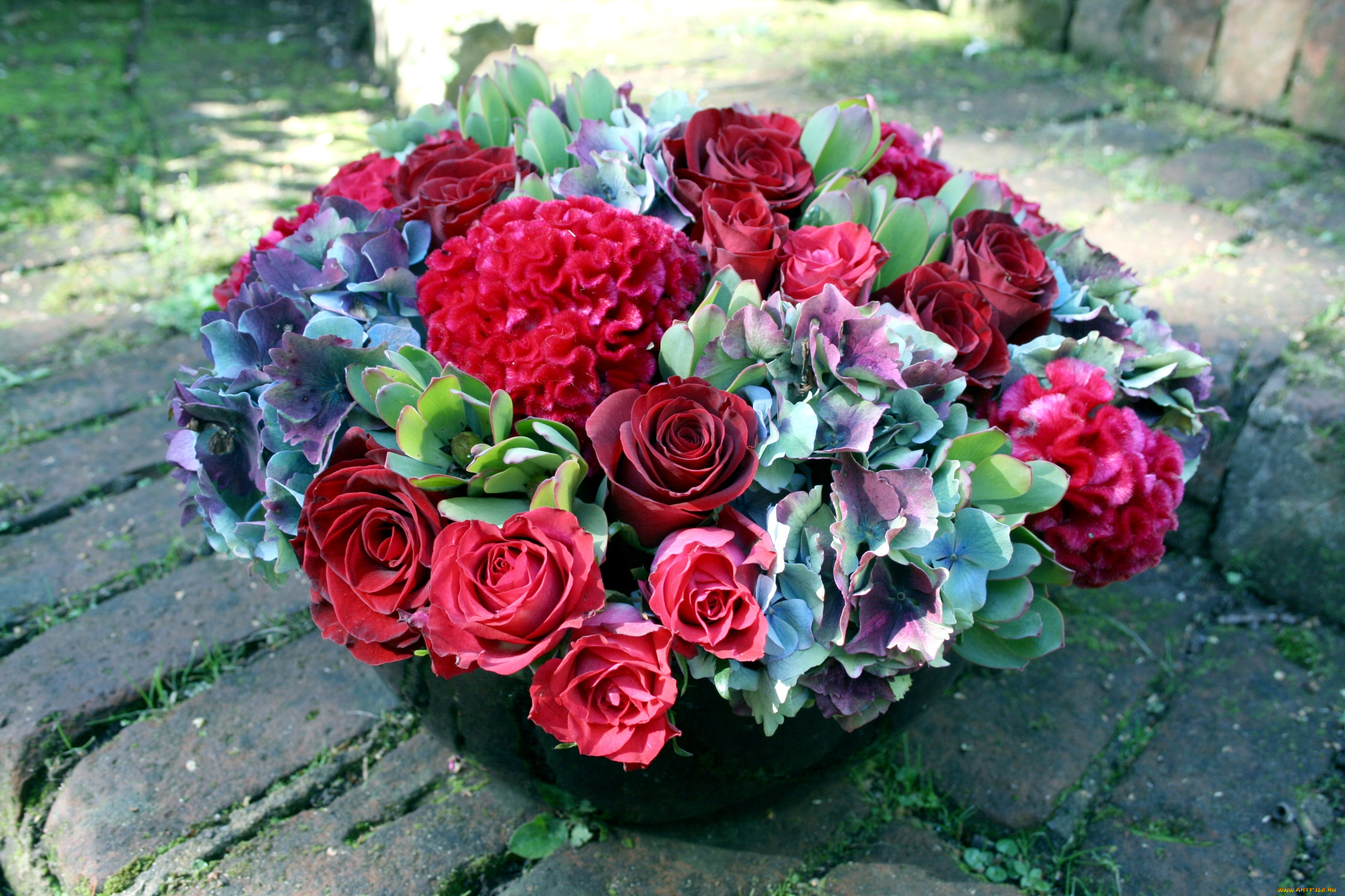 цветы, букеты, композиции, розы, гортензия, гребешок