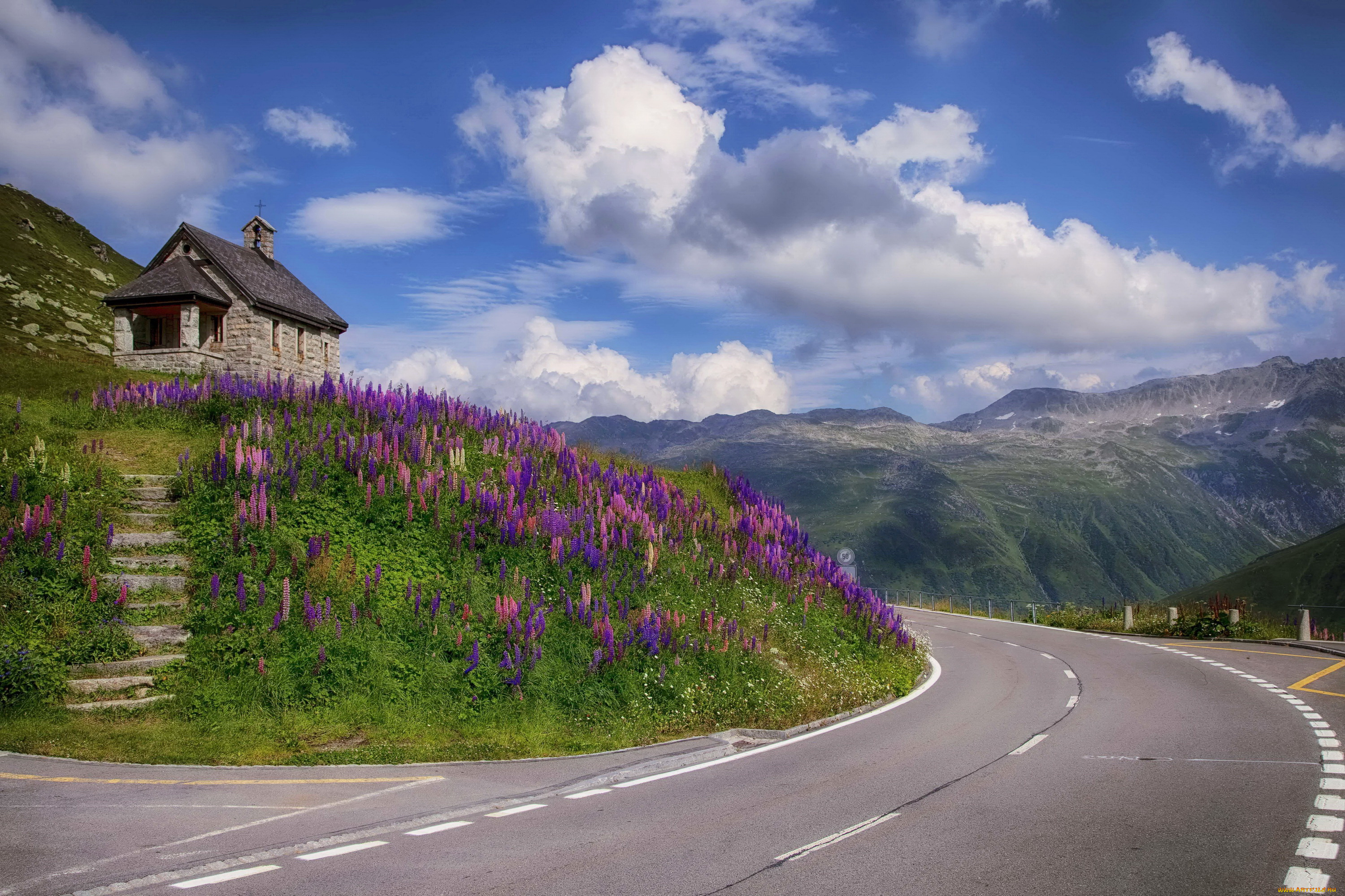 швейцария, реальп, природа, дороги, домик, дорога, цветы