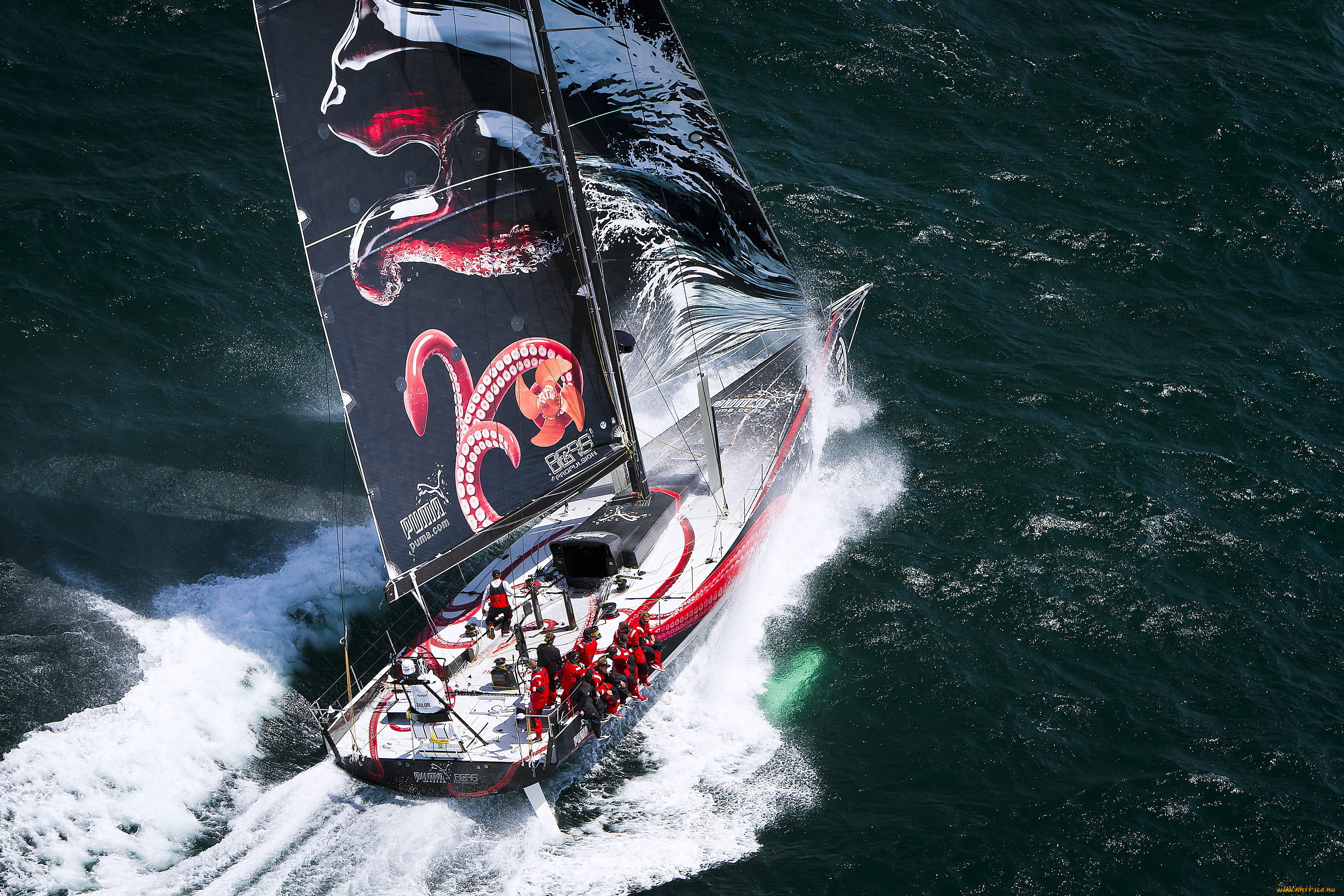 спорт, парусный, море, яхта