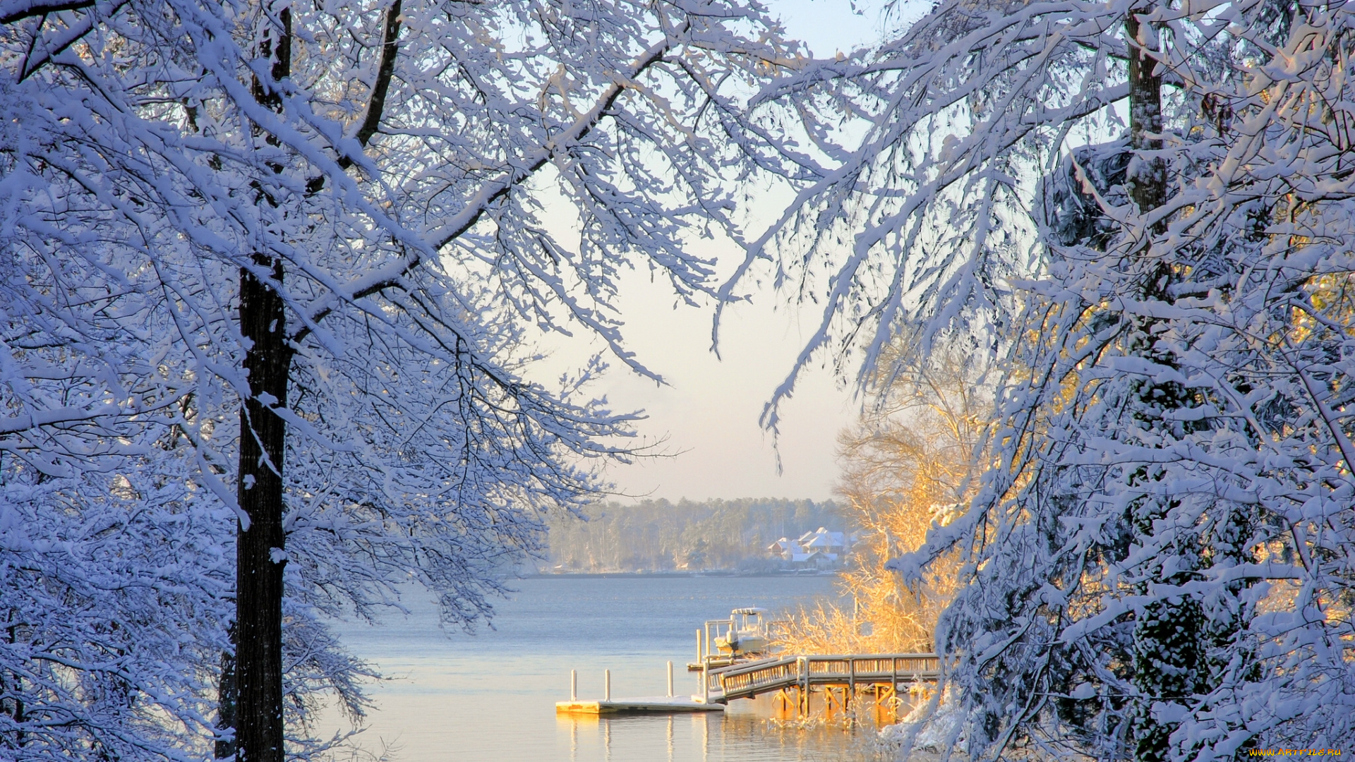 lake, murray, south, carolina, природа, зима, деревья, снег, южная, каролина, озеро, мюррей