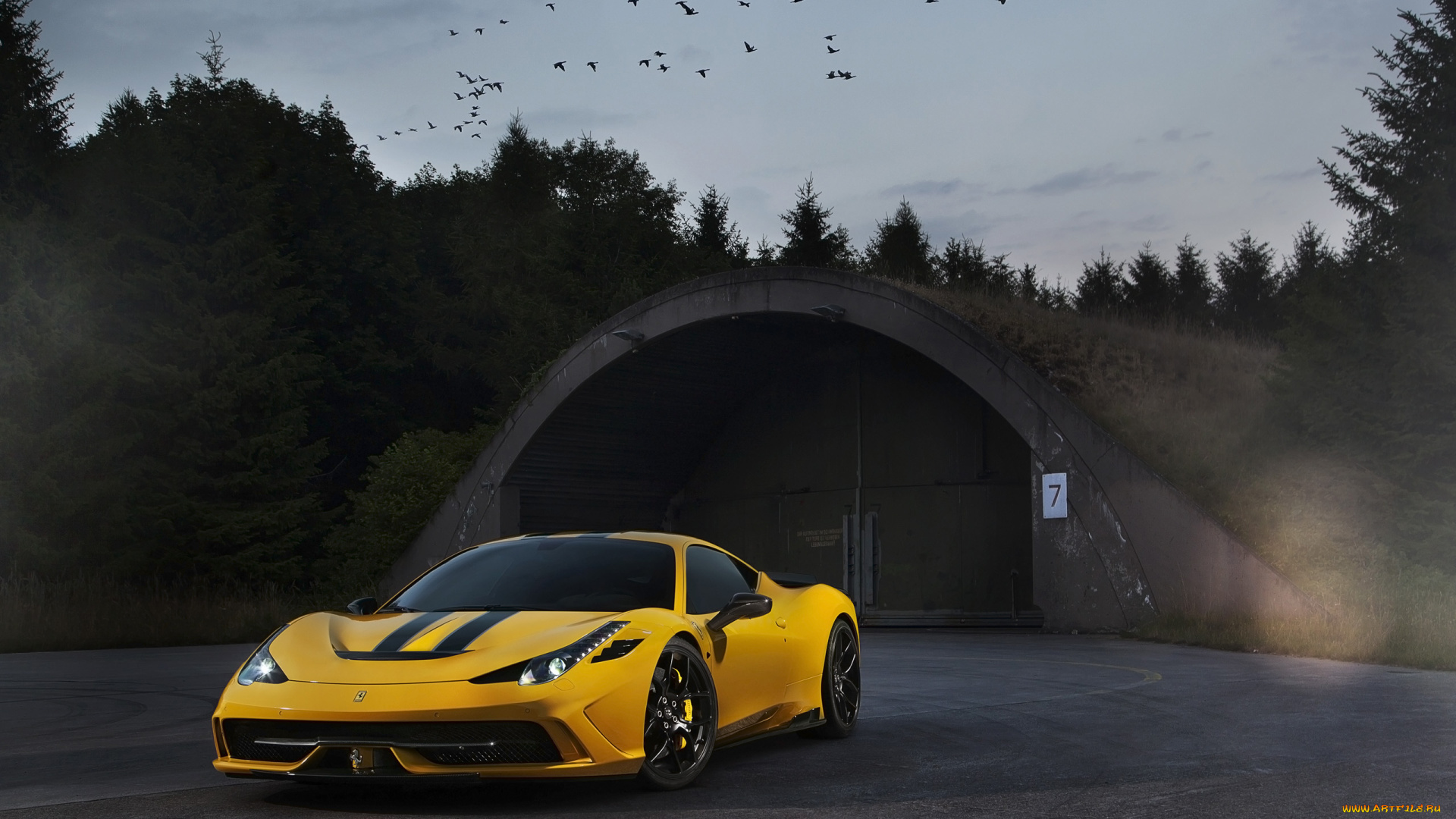 автомобили, ferrari, novitec