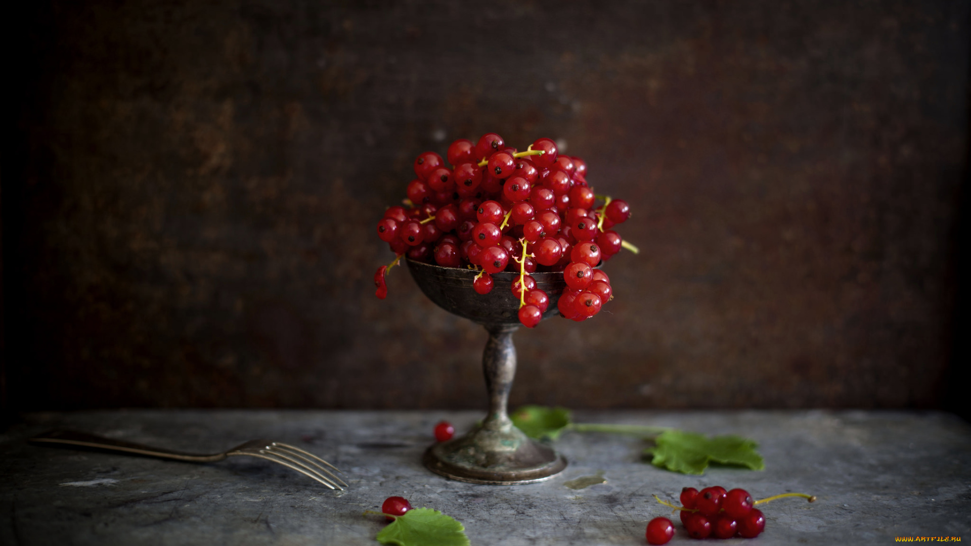 еда, смородина, красная