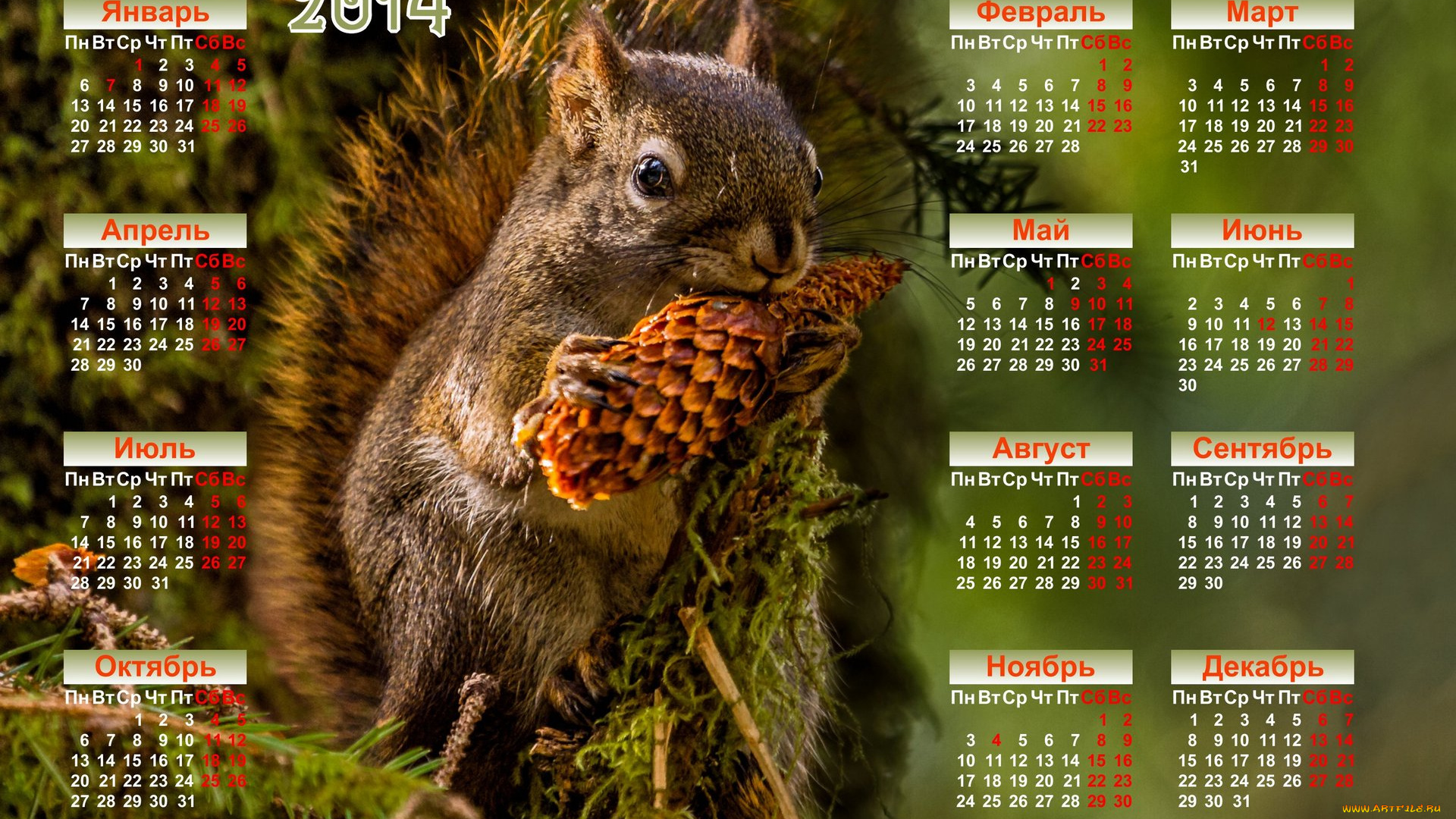 календари, животные, календарь, белка