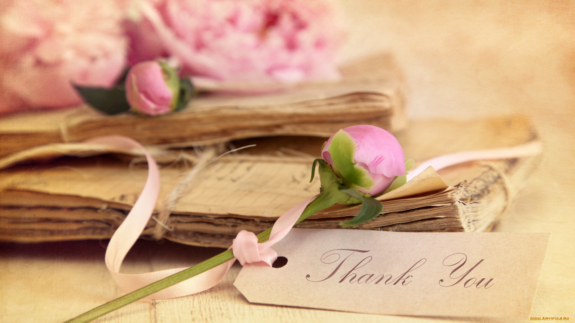 разное, ретро, , винтаж, розовые, розы, цветы, дневники, старые, тетради