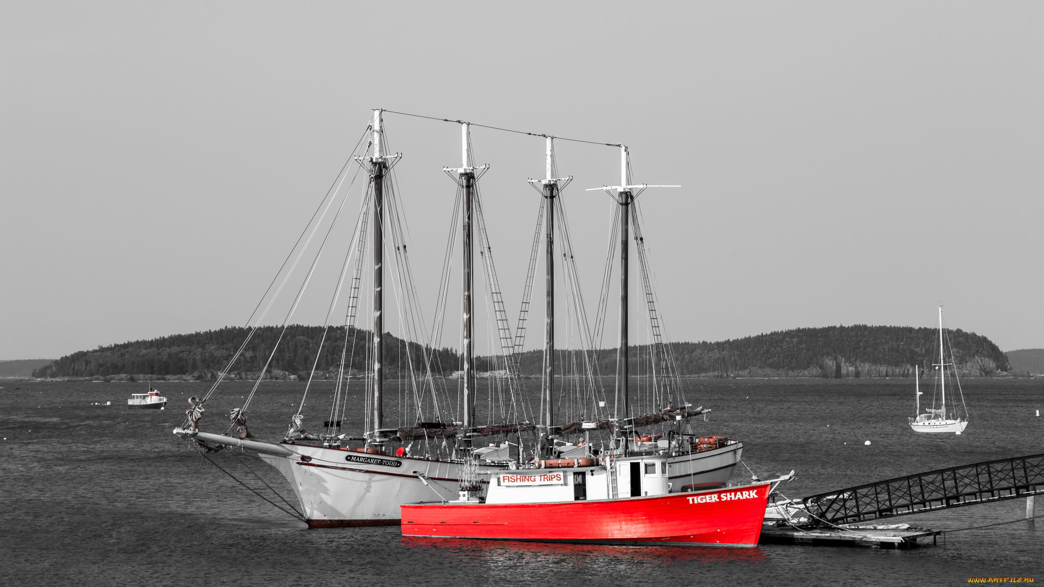 корабли, разные, вместе, sailboat, sea, лодка, парусник, море, boat