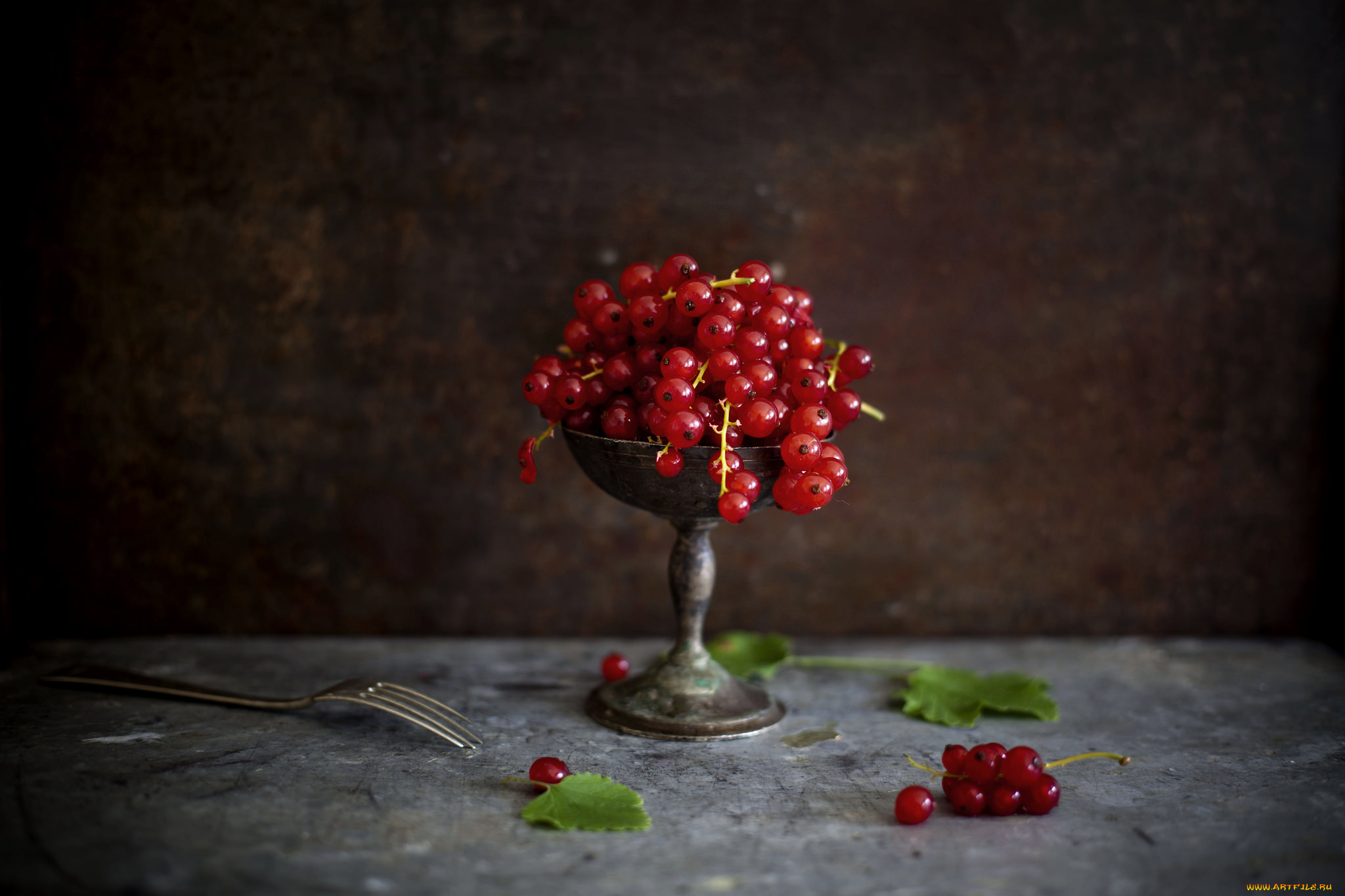 еда, смородина, красная