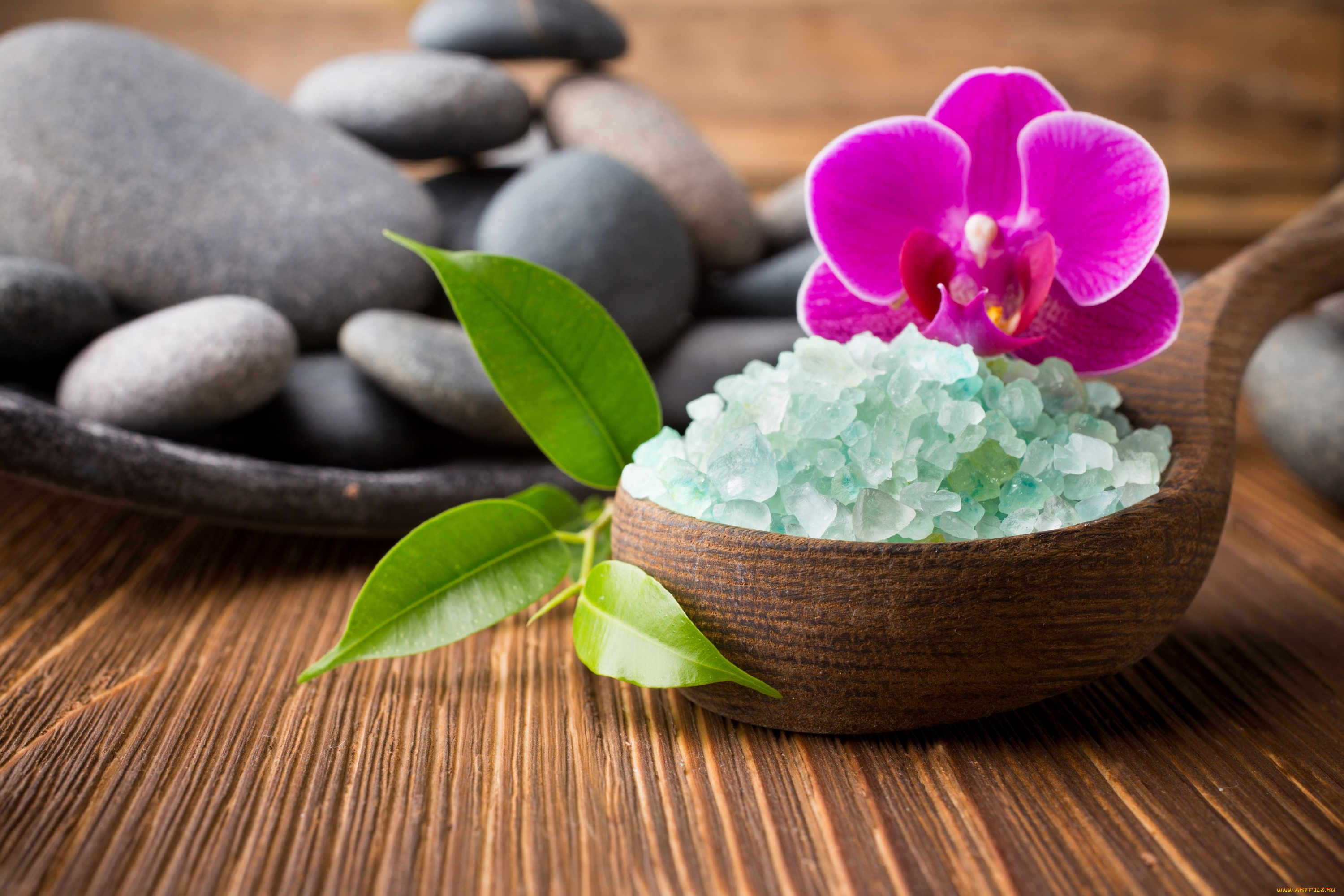 разное, косметические, средства, , духи, salt, spa, камни, орхидея, соль, спа, stones, zen, orchid