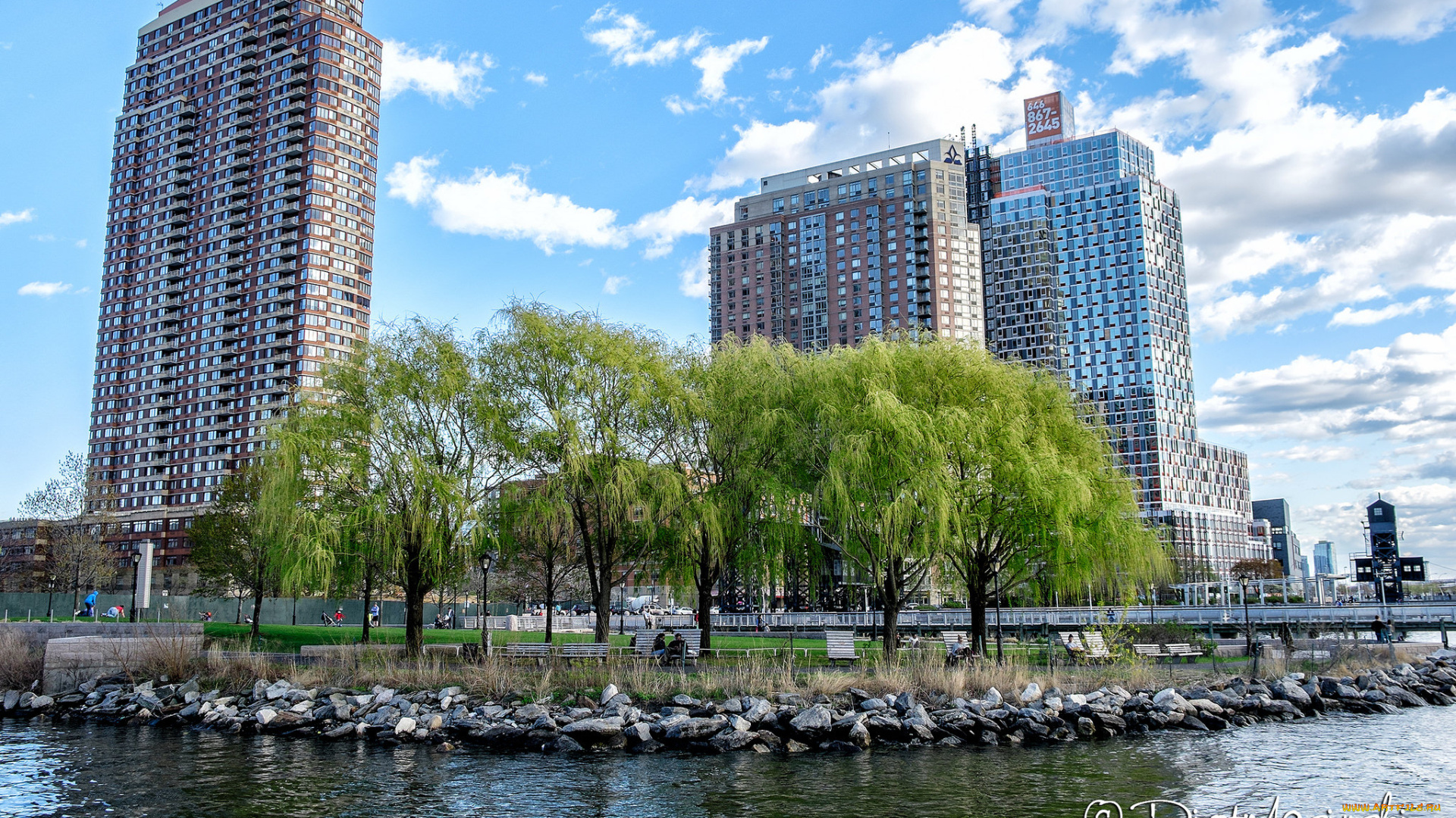 города, -, панорамы, long, island, city, город, деревья, здания