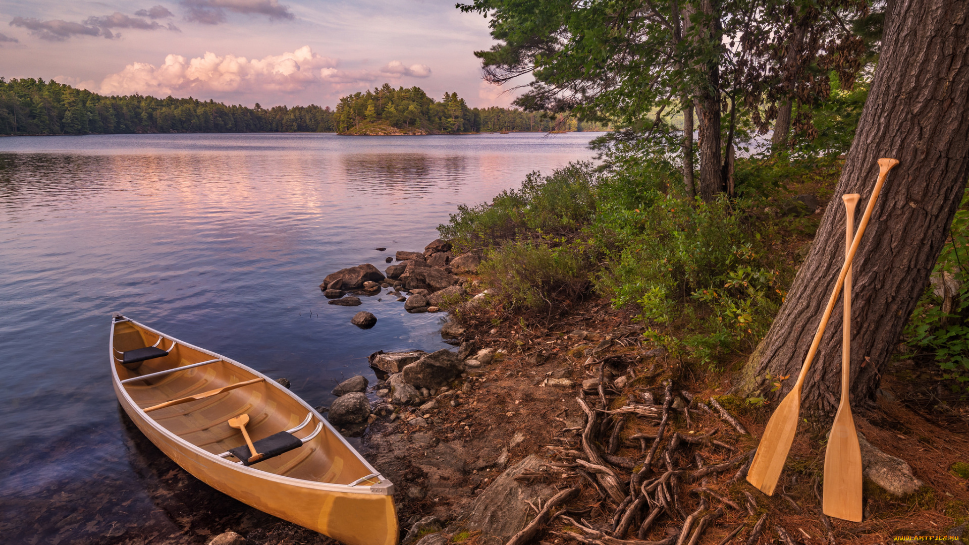 корабли, лодки, , шлюпки, каноэ, река, лес